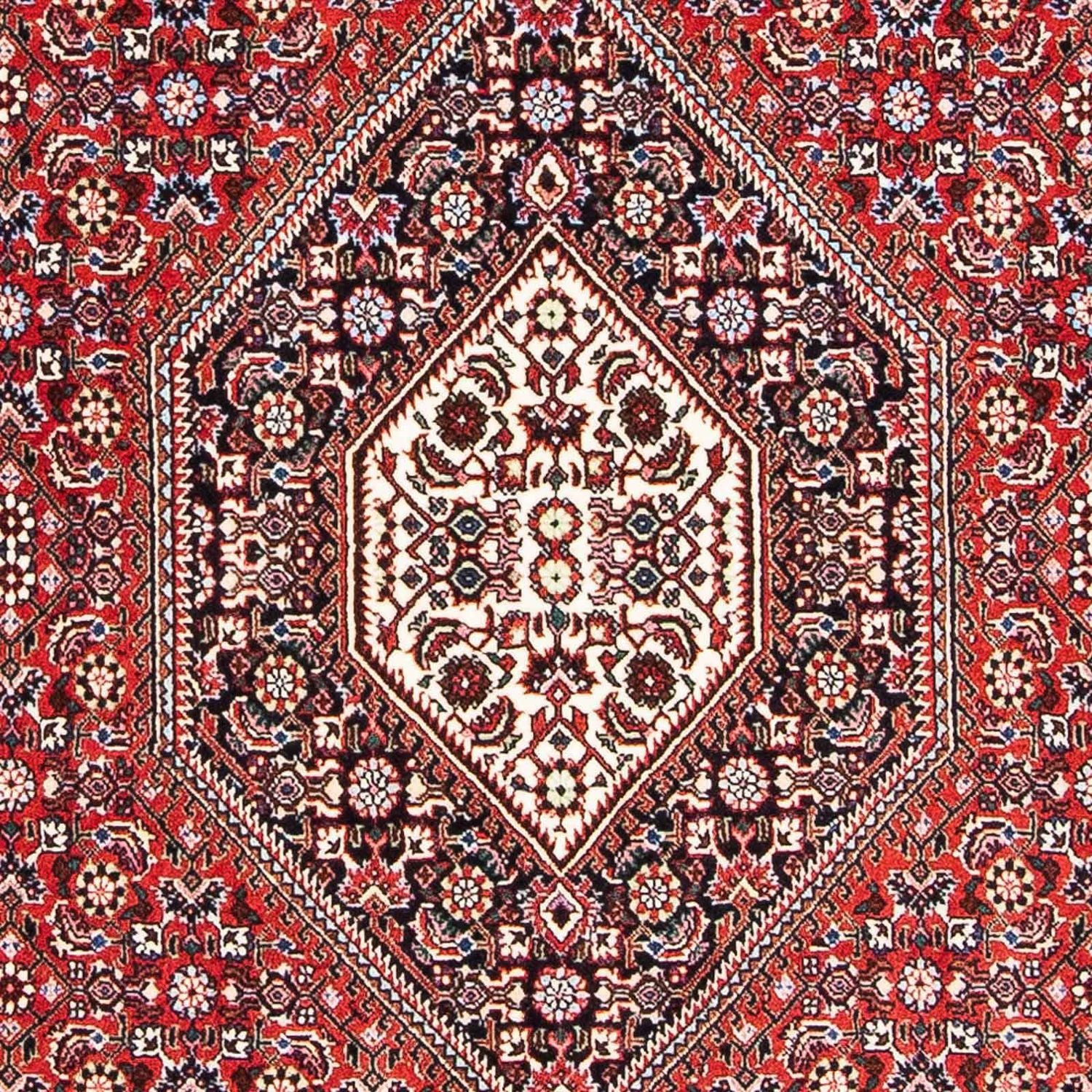 Perserteppich - Bidjar - Royal 173 x 111 cm - hellrot - Image 2