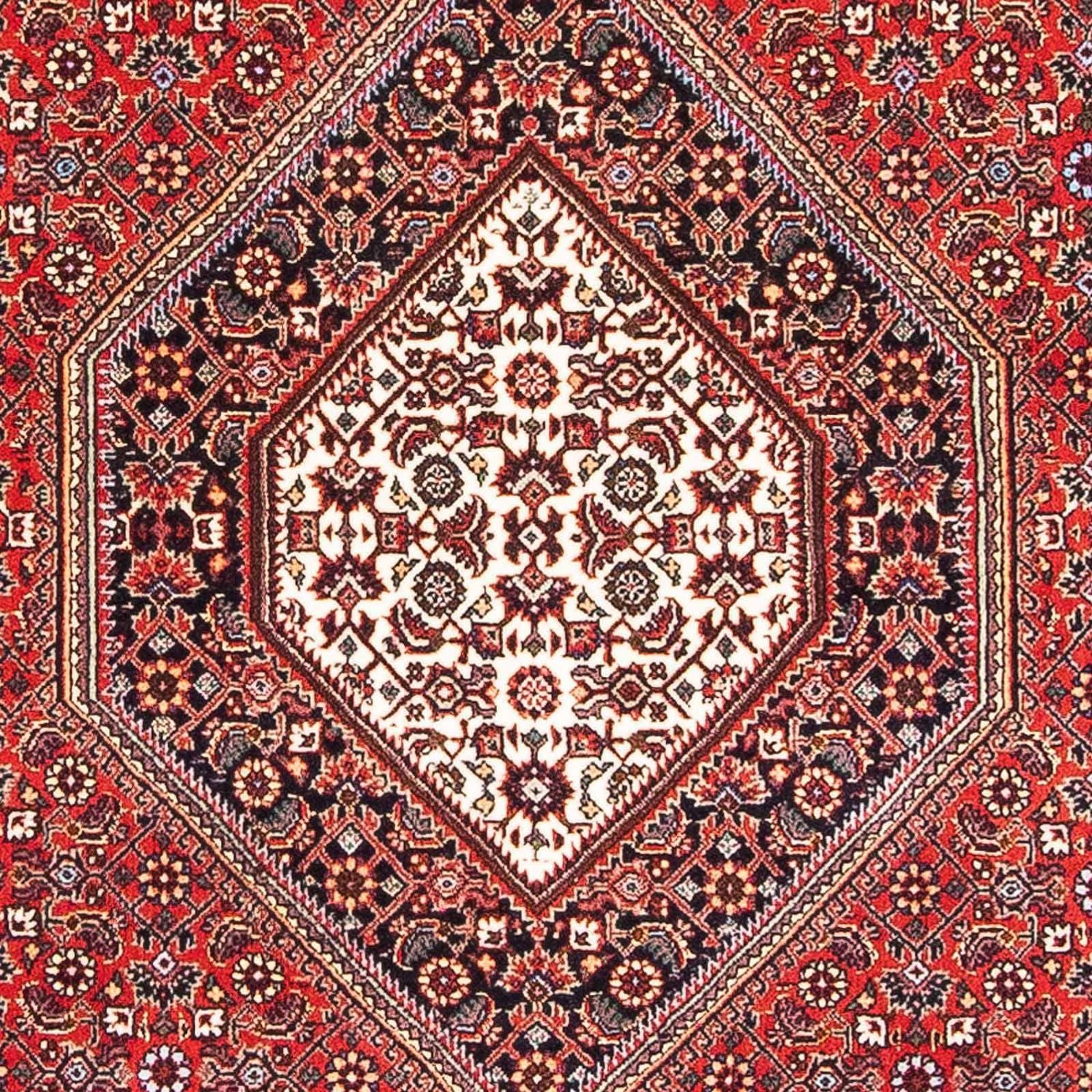 Bidjar Teppich 173x112cm - Perserteppich - Image 2