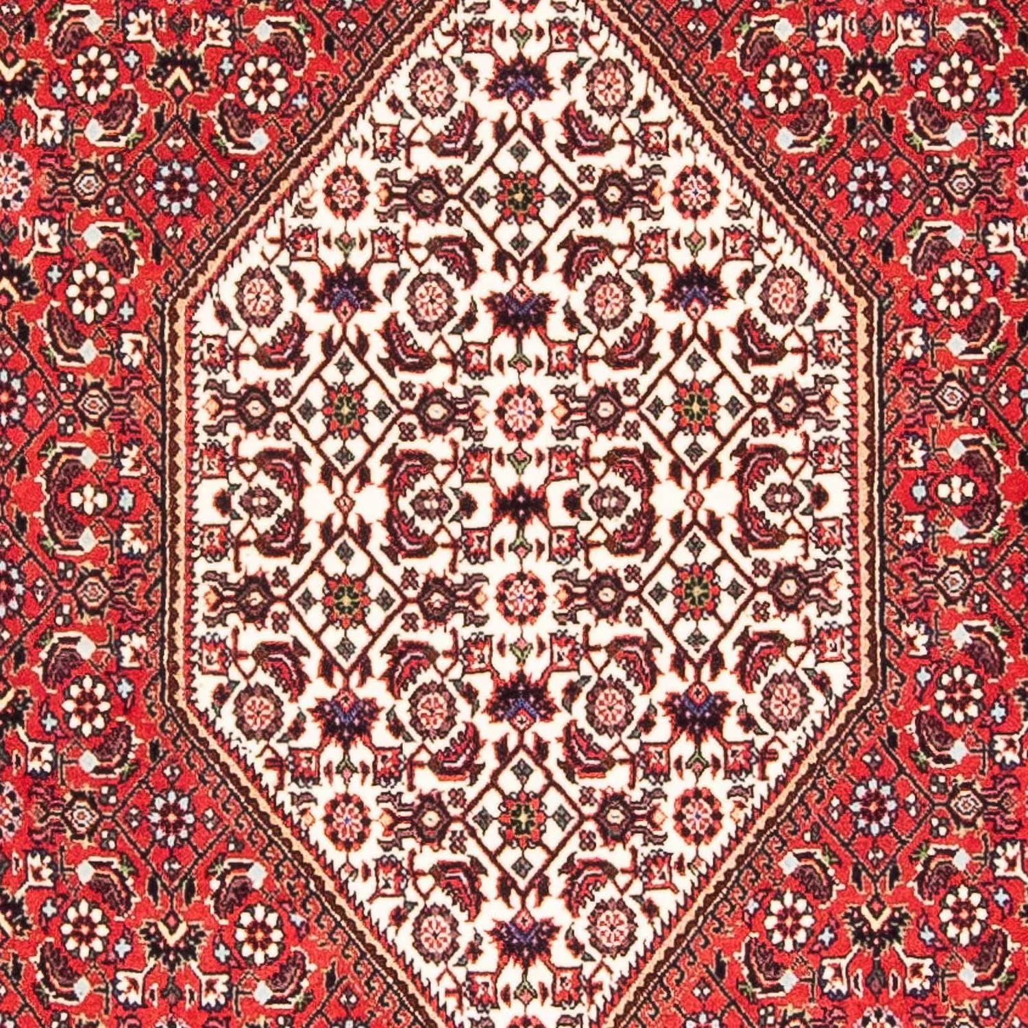 Bidjar Teppich 175x110cm - Perserteppich - Image 2