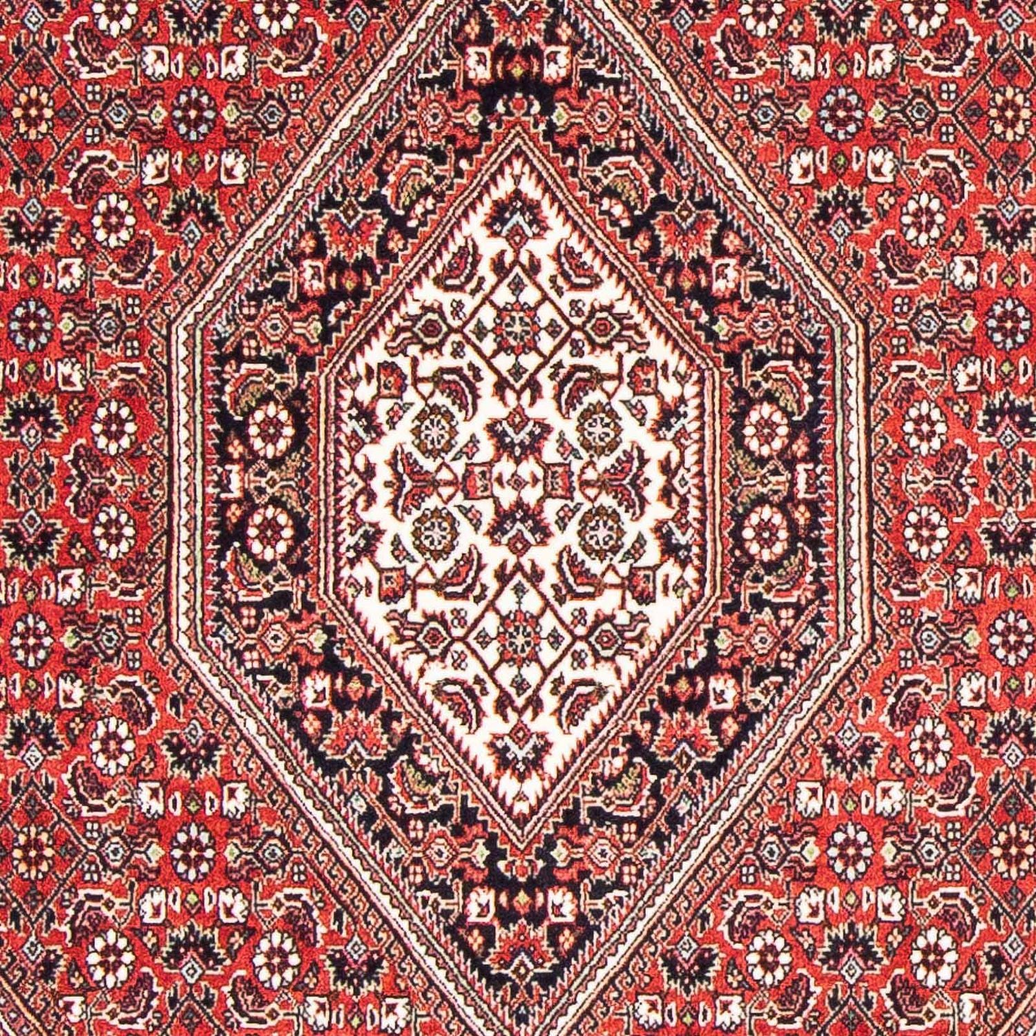 Bidjar Teppich 176x110cm - Perserteppich - Image 2