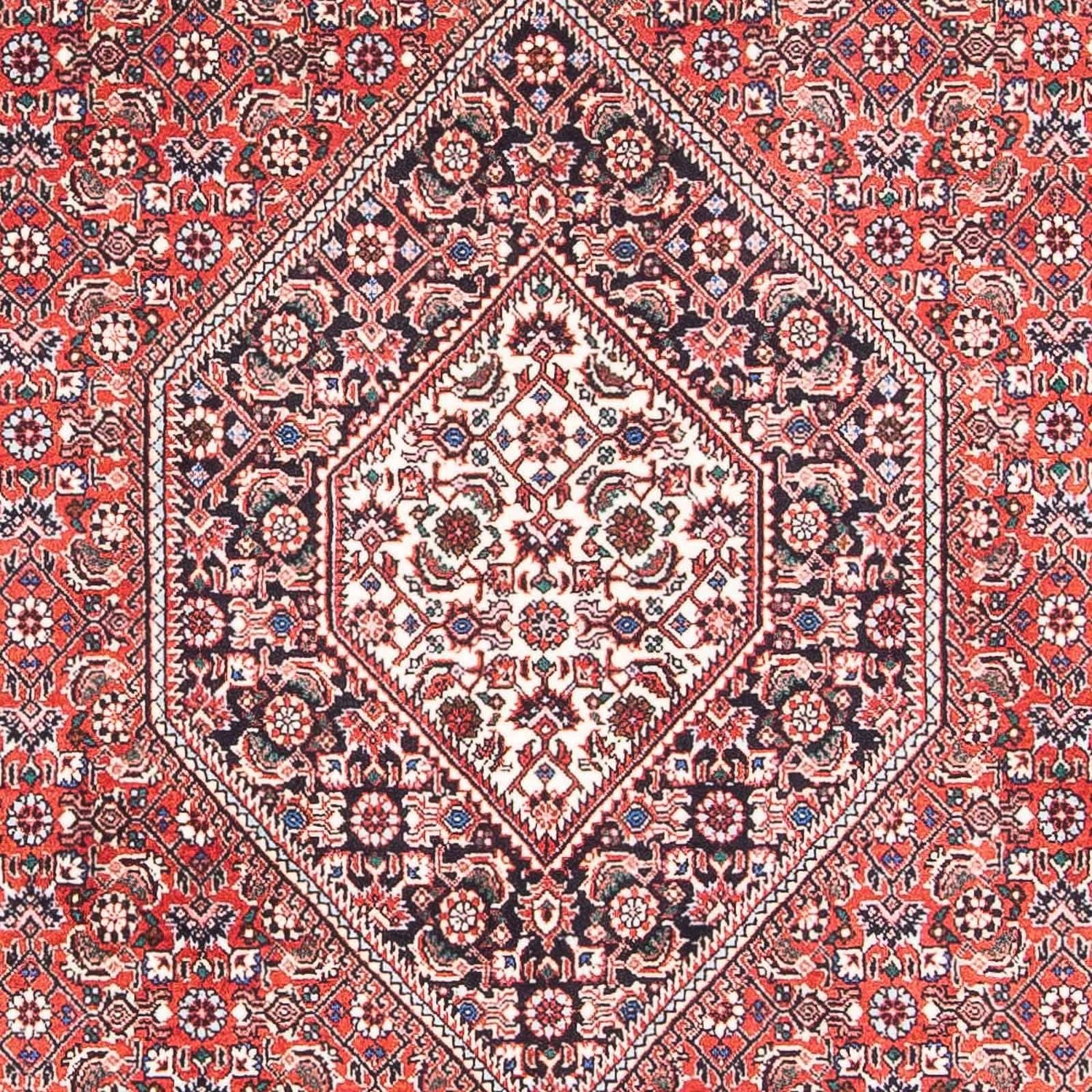 Perserteppich - Bidjar - Royal 176 x 112 cm - rot - Image 2