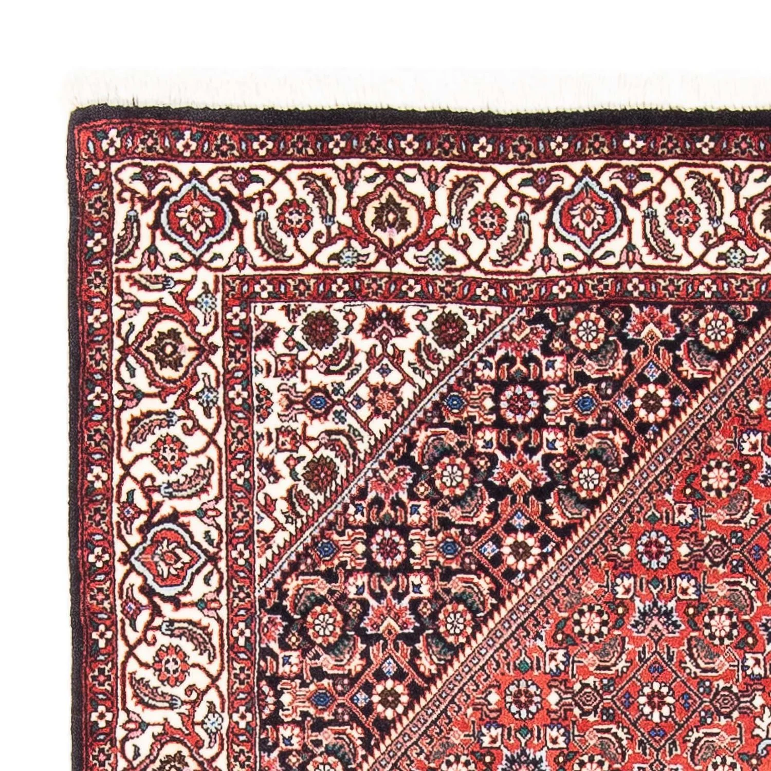 Perserteppich - Bidjar - Royal 176 x 112 cm - rot - Image 3