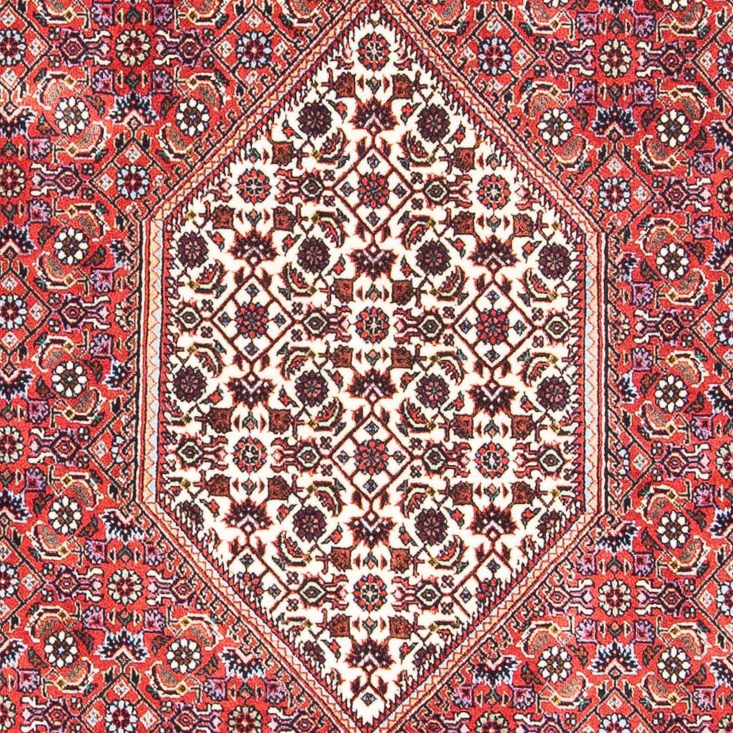Perserteppich - Bidjar - Royal 178 x 110 cm - rot - Image 2