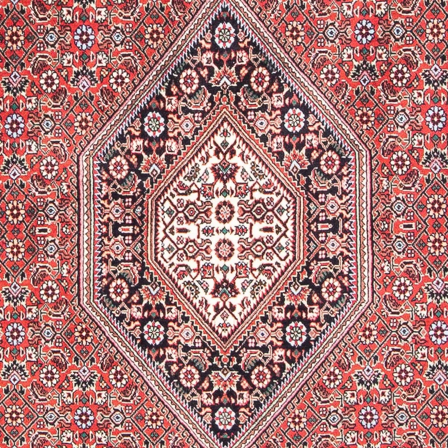 Bidjar Teppich 180x108cm - Perserteppich - Image 2