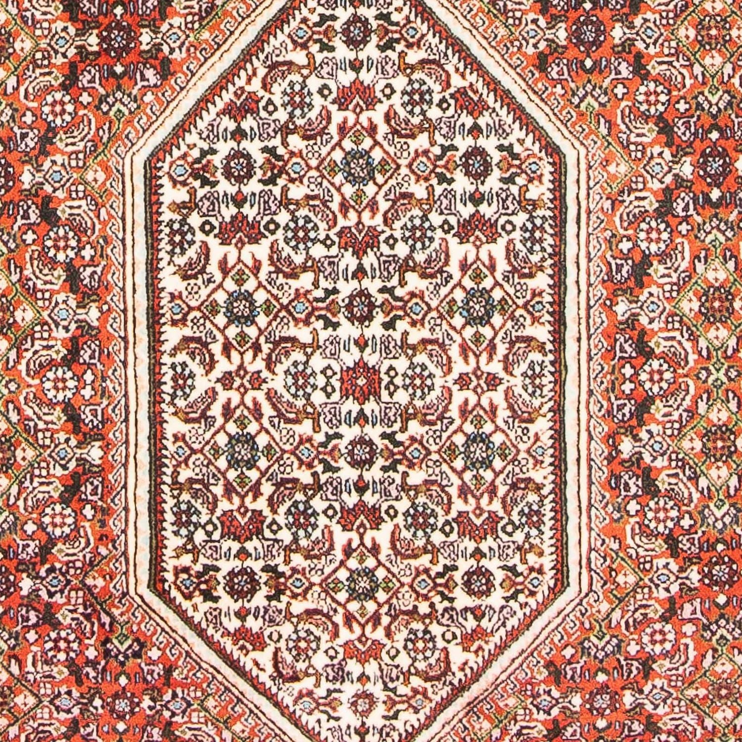 Bidjar Teppich 180x110cm - Perserteppich - Image 2