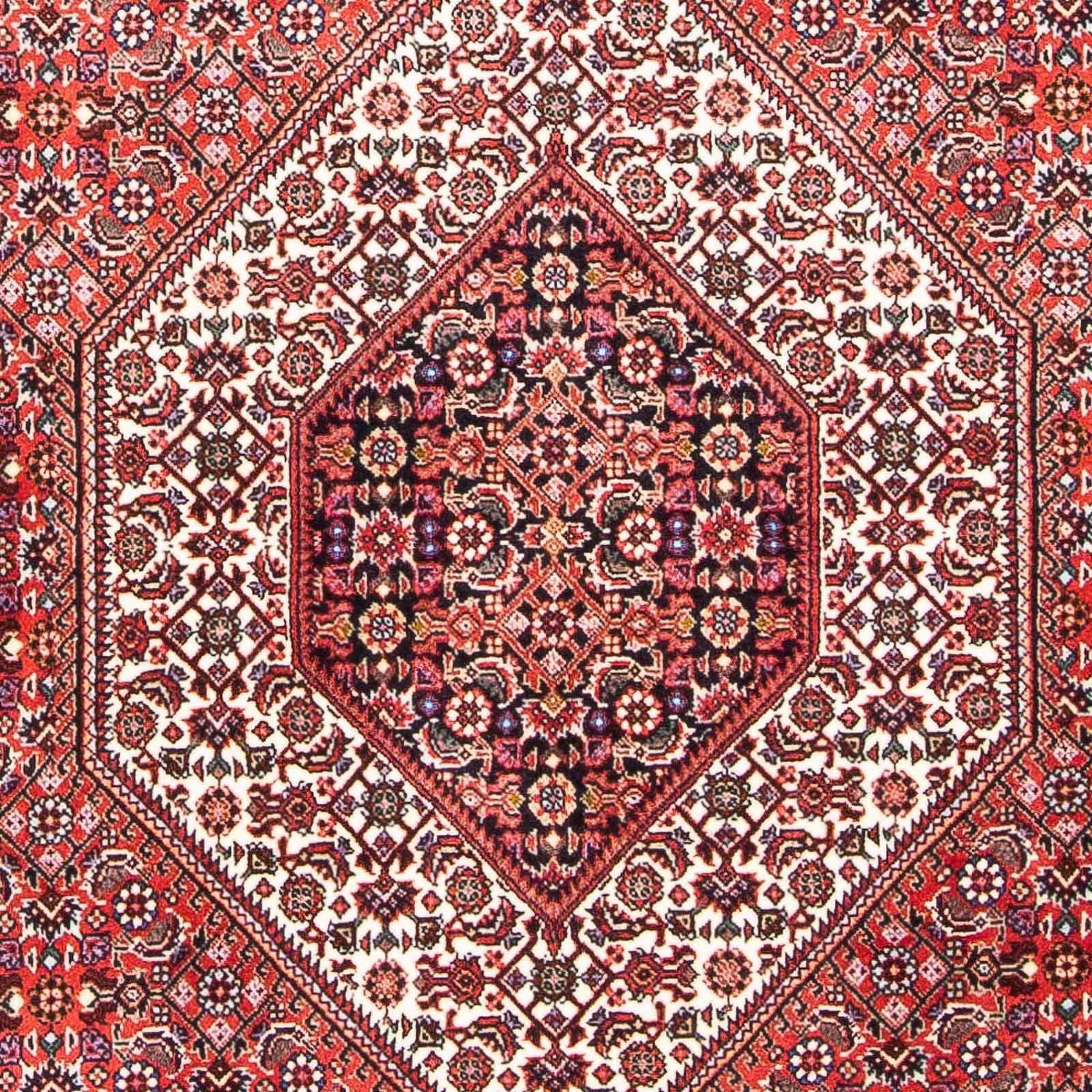 Perserteppich - Bidjar - Royal 180 x 111 cm - hellrot - Image 2