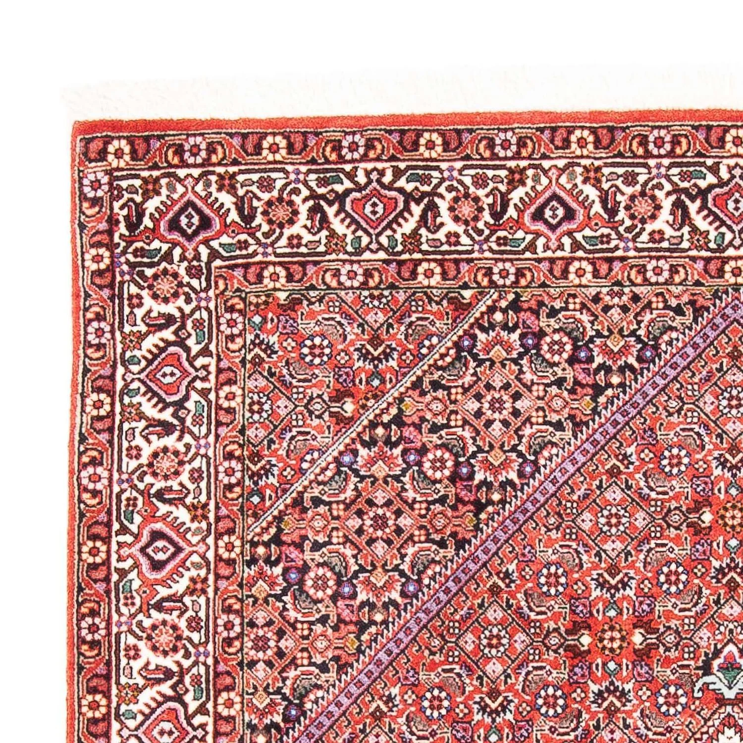 Perserteppich - Bidjar - Royal 180 x 111 cm - hellrot - Image 3