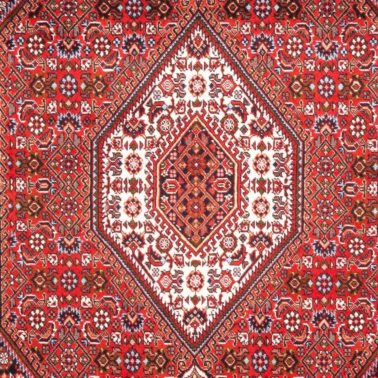Bidjar - Bukan Teppich 183x110cm - Perserteppich - Image 2