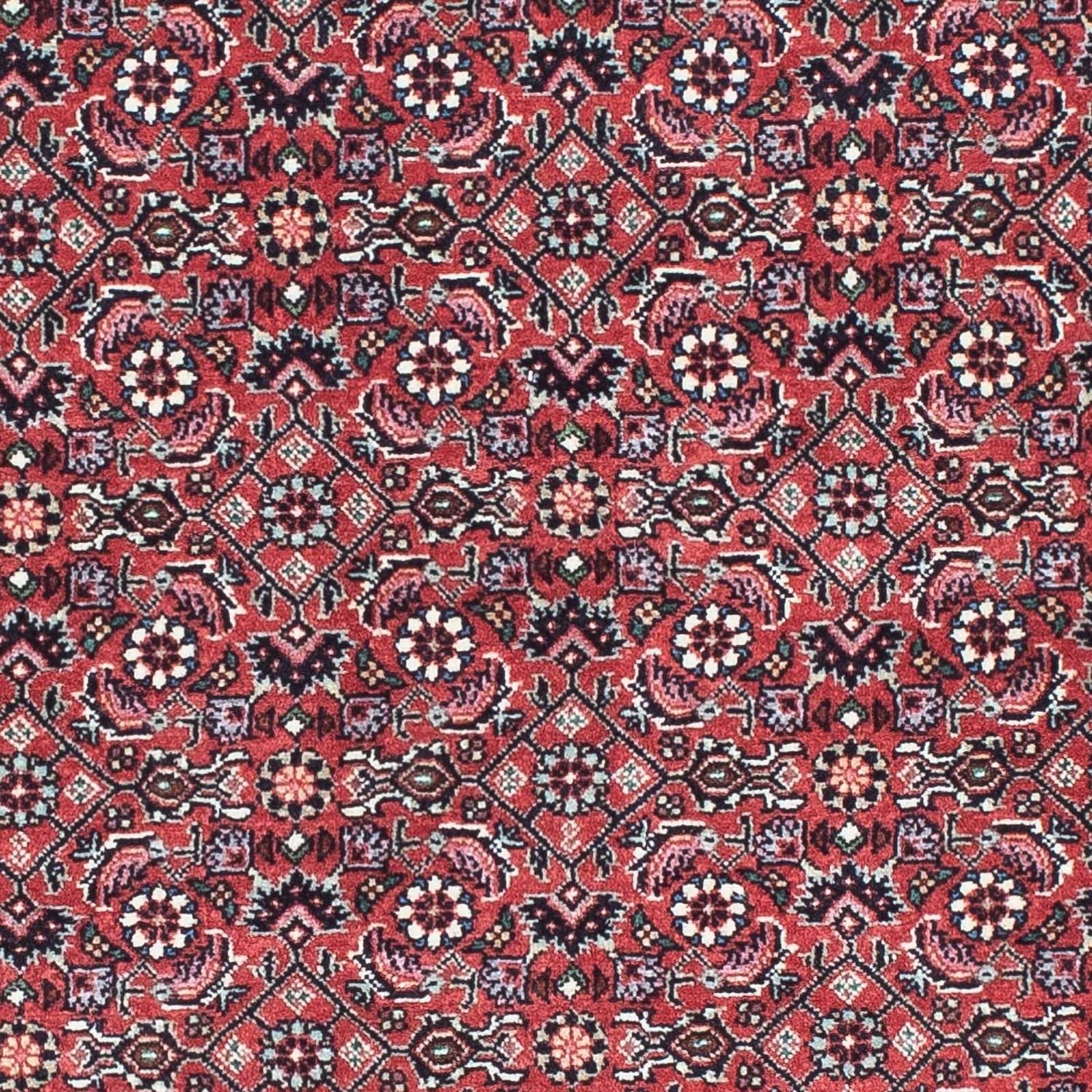 Perserteppich - Bidjar - Royal 193 x 76 cm - rot - Image 2