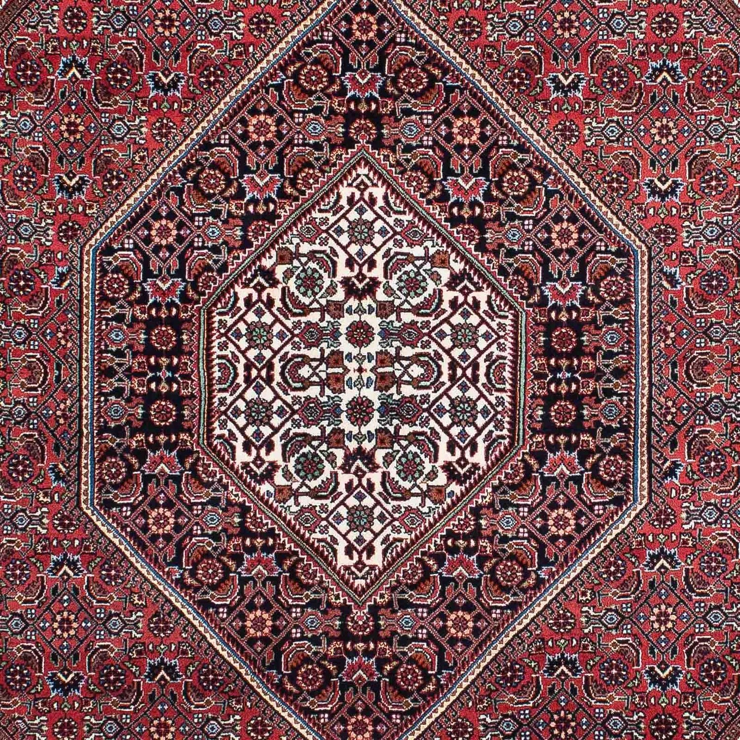 Perserteppich - Bidjar - Royal 202 x 150 cm - hellrot - Image 2