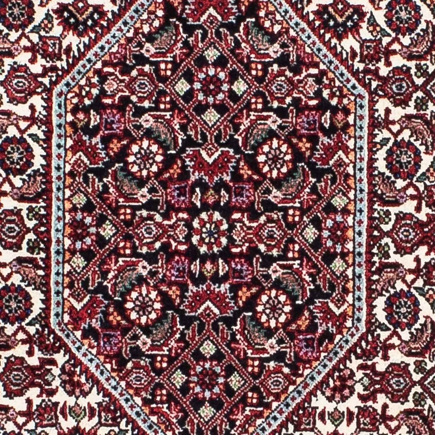 Perserteppich - Bidjar - Royal 209 x 132 cm - hellrot - Image 2