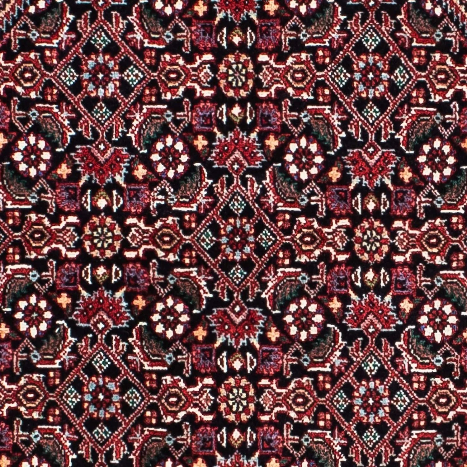 Perserteppich - Bidjar - Royal 210 x 134 cm - hellrot - Image 2