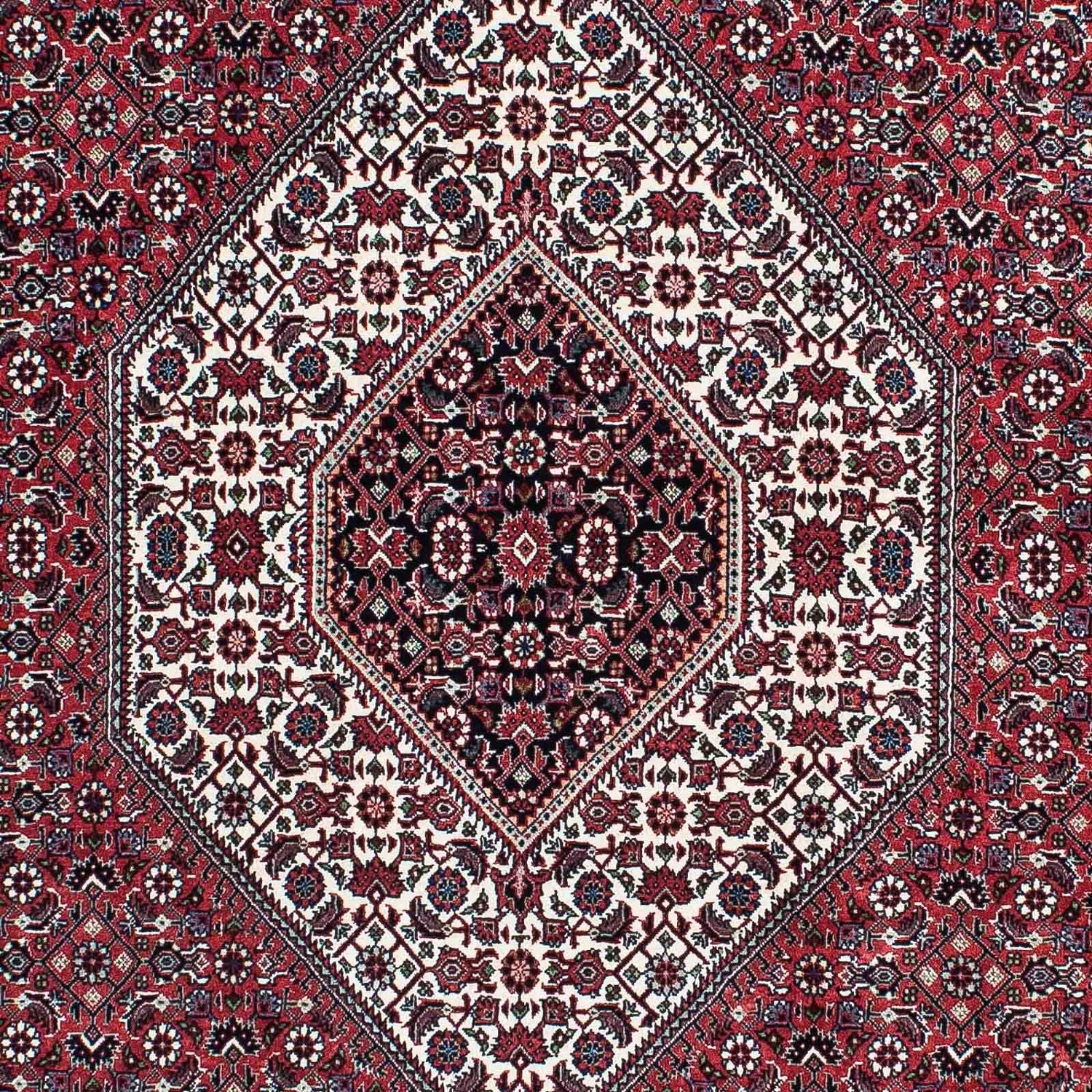 Bidjar Teppich 217x131cm - Perserteppich - Image 2