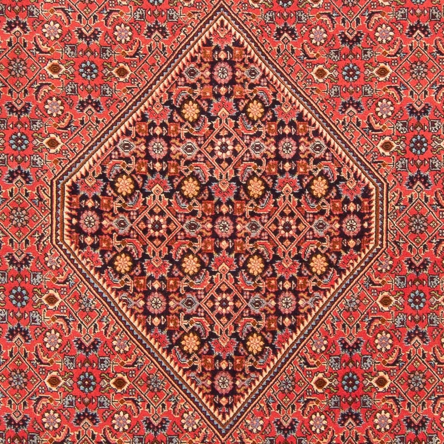 Bidjar - Bukan Teppich 260x200cm - Perserteppich - Image 2