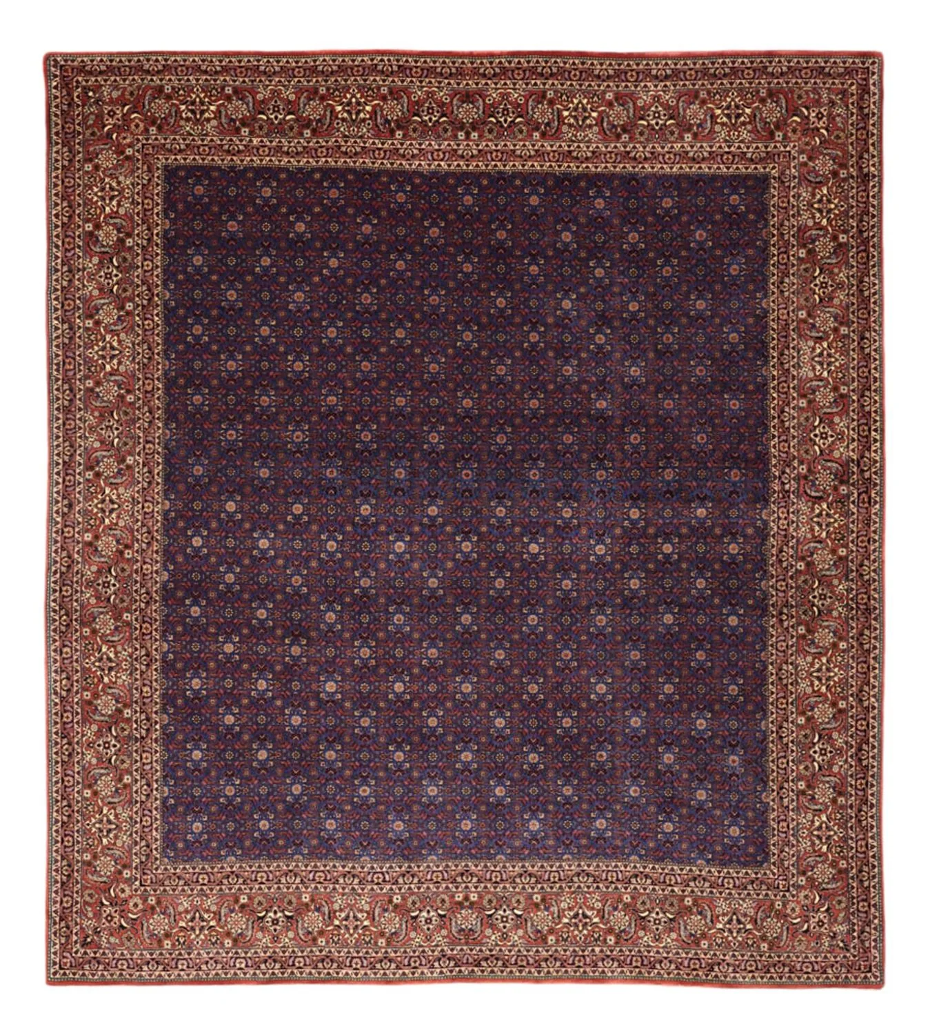 Bidjar Teppich 286x255cm - Perserteppich