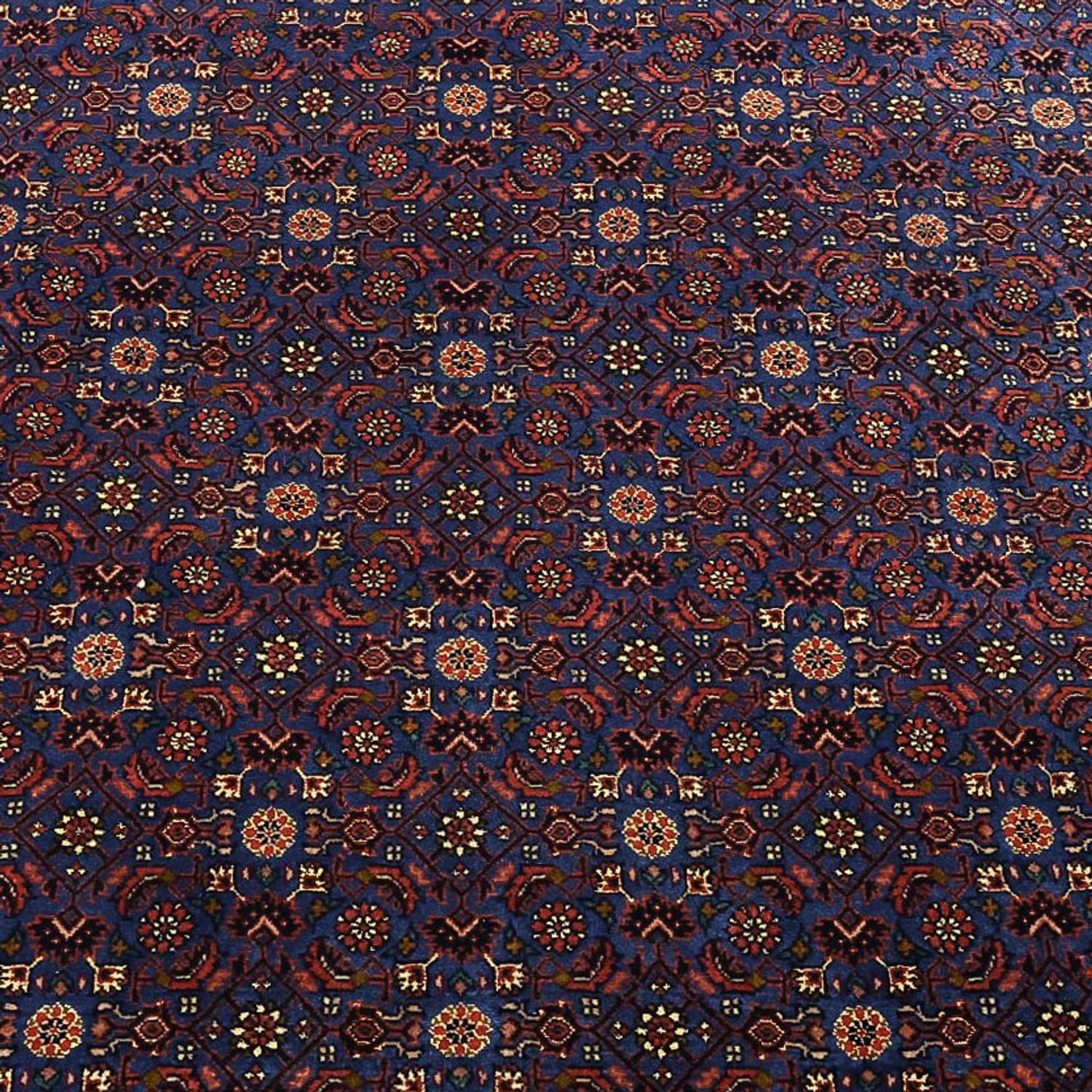 Bidjar Teppich 286x255cm - Perserteppich - Image 2