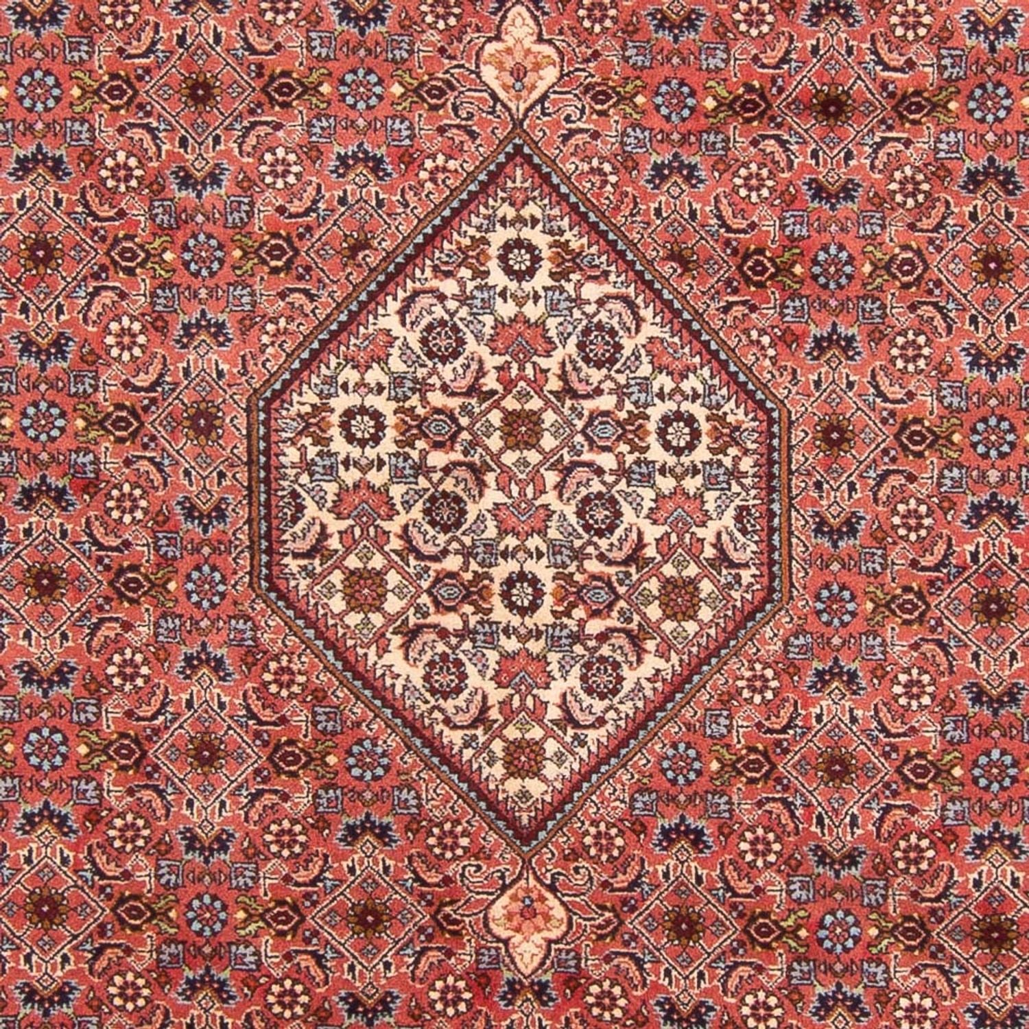 Bidjar - Bukan Teppich 290x204cm - Perserteppich - Image 2