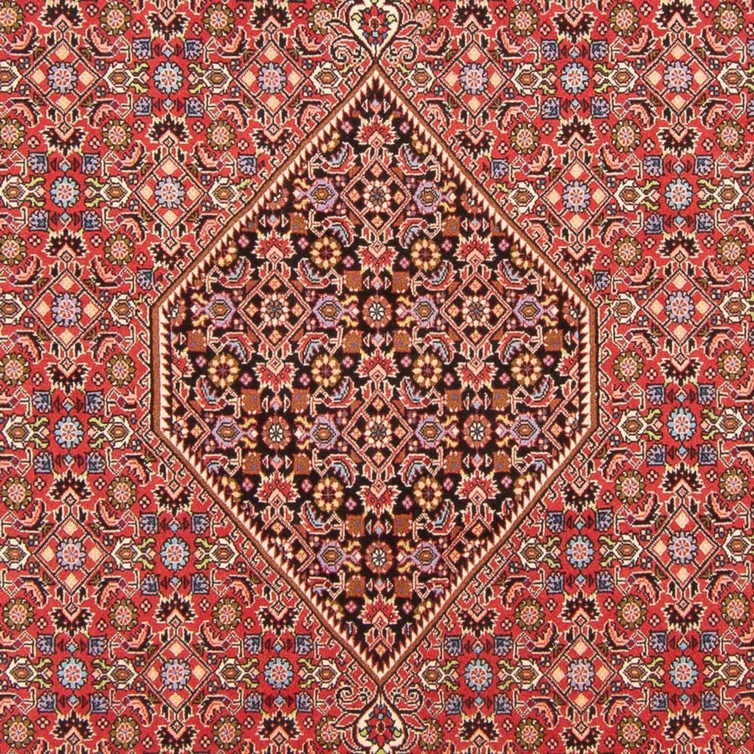 Bidjar - Bukan Teppich 294x200cm - Perserteppich - Image 2