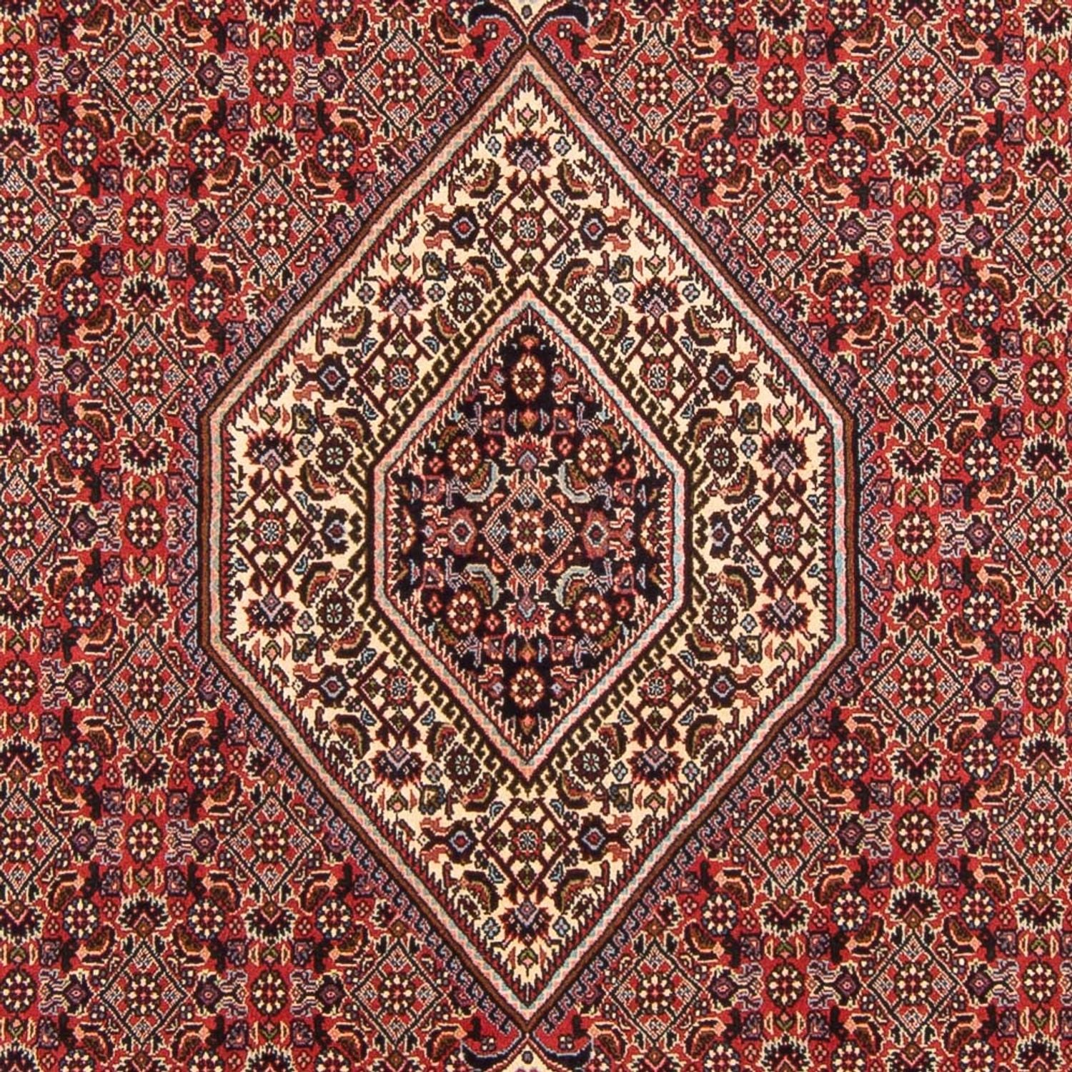 Bidjar - Bukan Teppich 294x200cm - Perserteppich - Image 2
