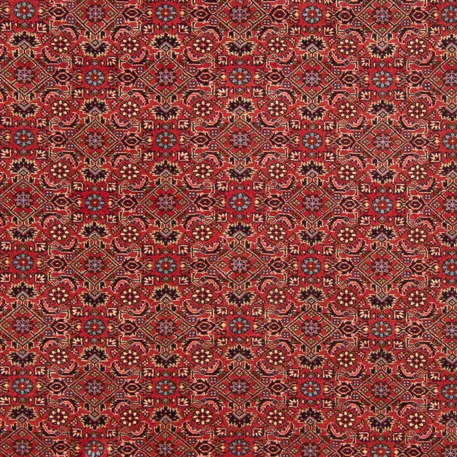 Bidjar - Bukan Teppich 296x197cm - Perserteppich - Image 2