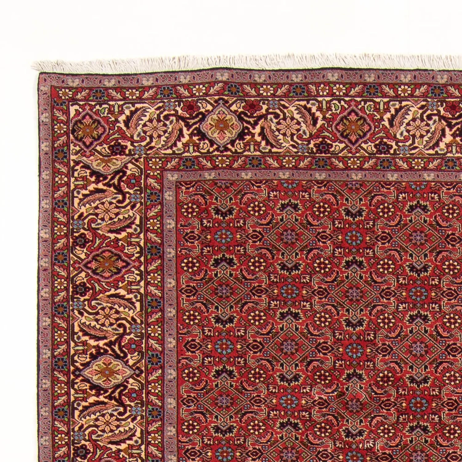Bidjar - Bukan Teppich 296x197cm - Perserteppich - Image 3