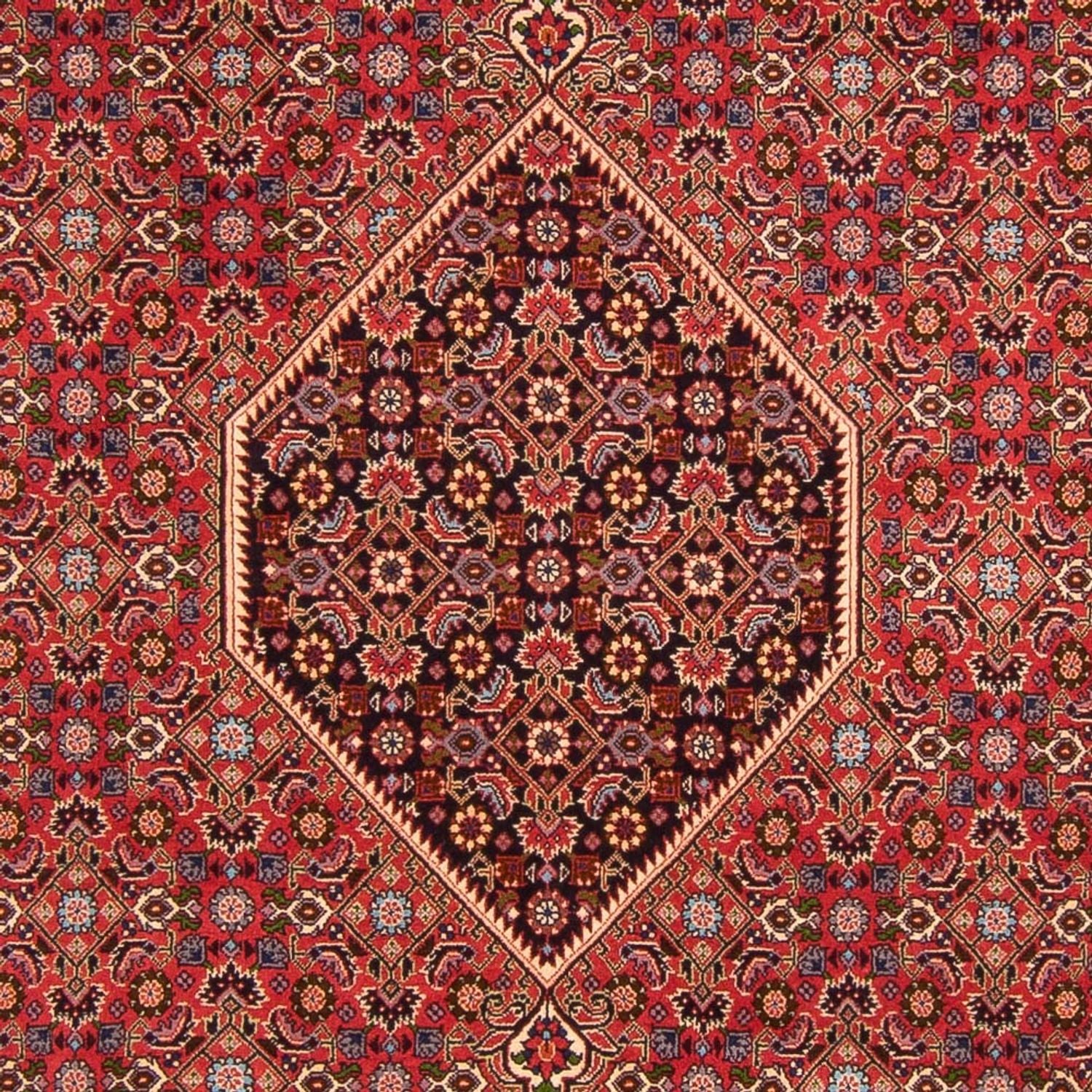 Bidjar - Bukan Teppich 300x200cm - Perserteppich - Image 2