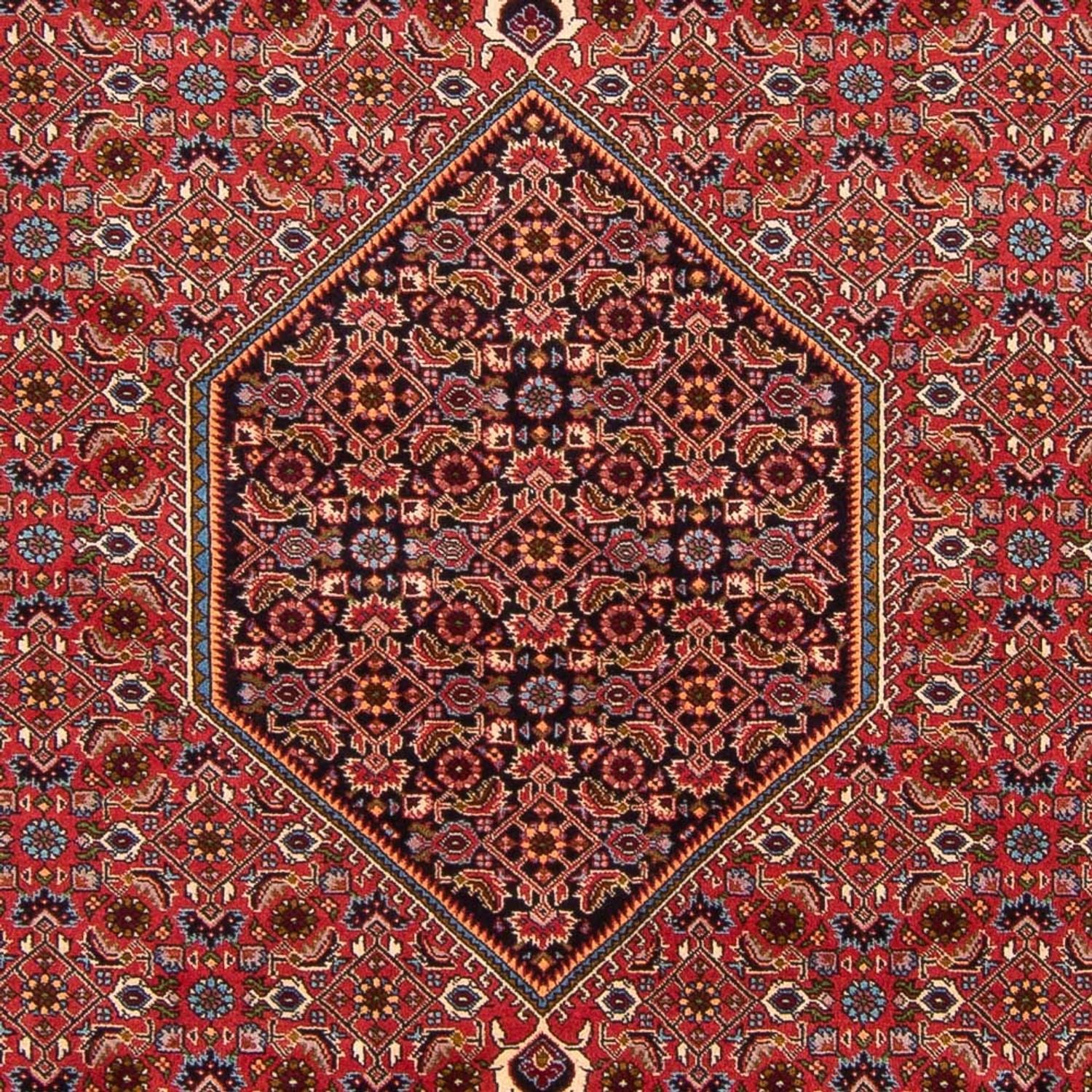 Bidjar - Bukan Teppich 301x200cm - Perserteppich - Image 2