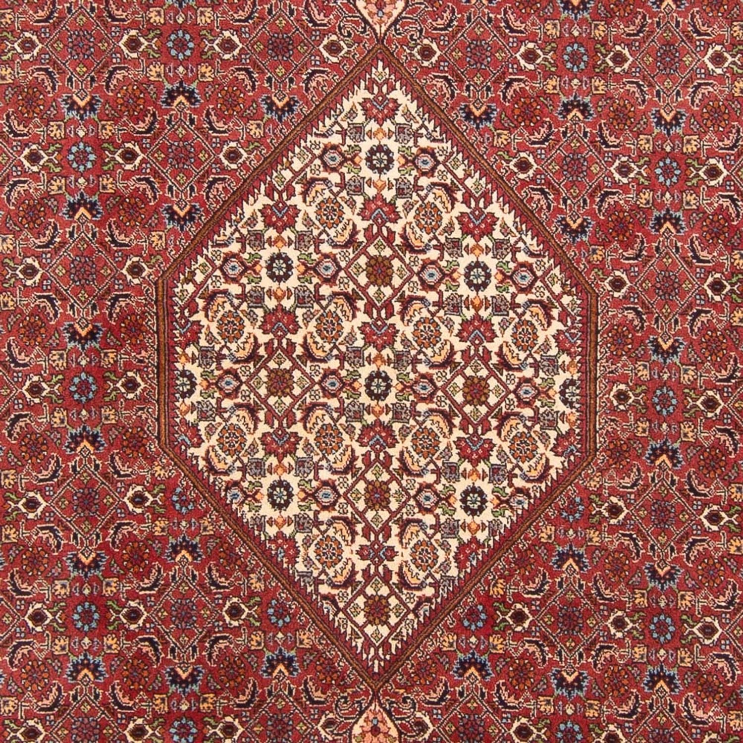 Perserteppich - Bidjar - Royal - 303 x 200 cm - rot - Image 2
