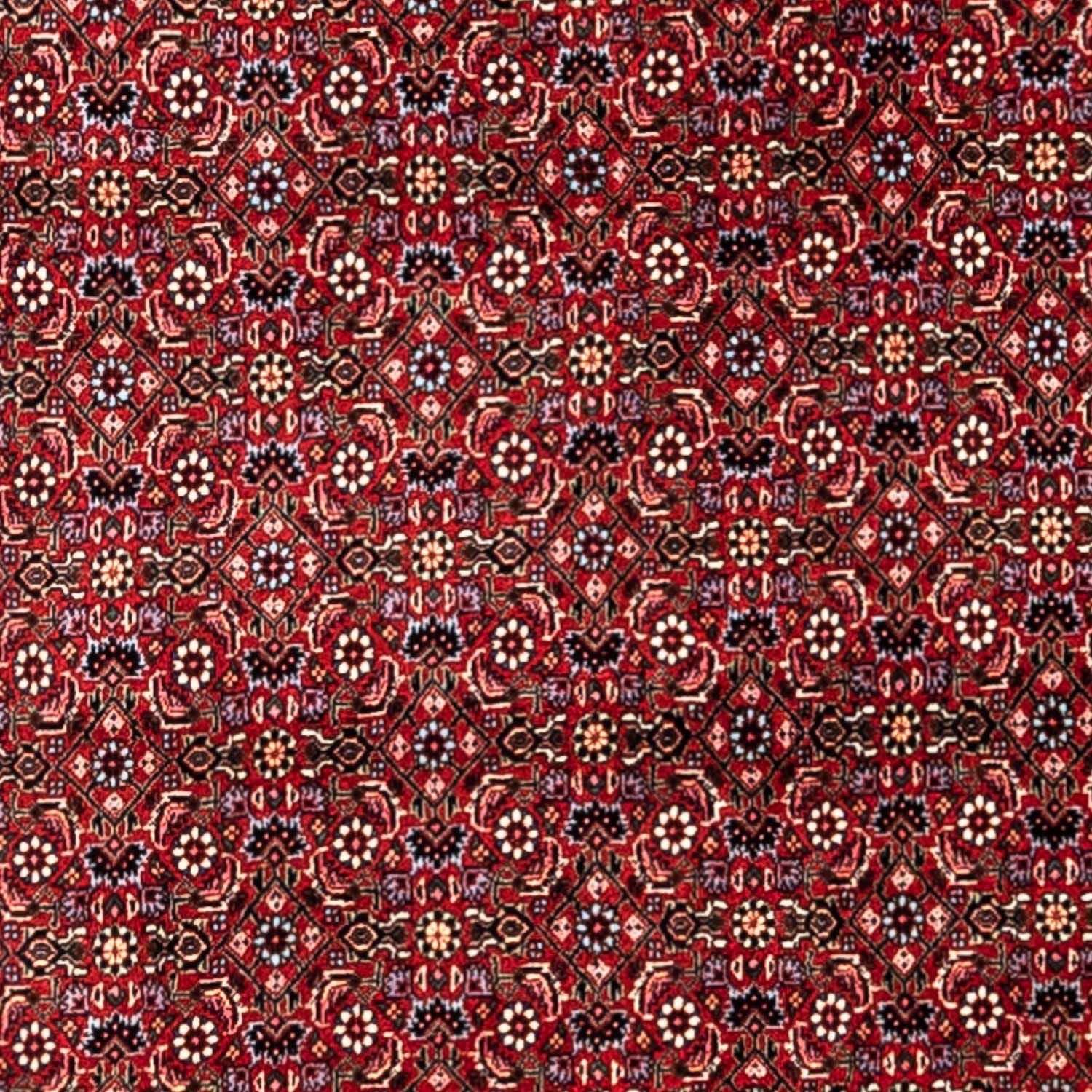 Perserteppich - Bidjar - Royal 331 x 254 cm - rot - Image 2