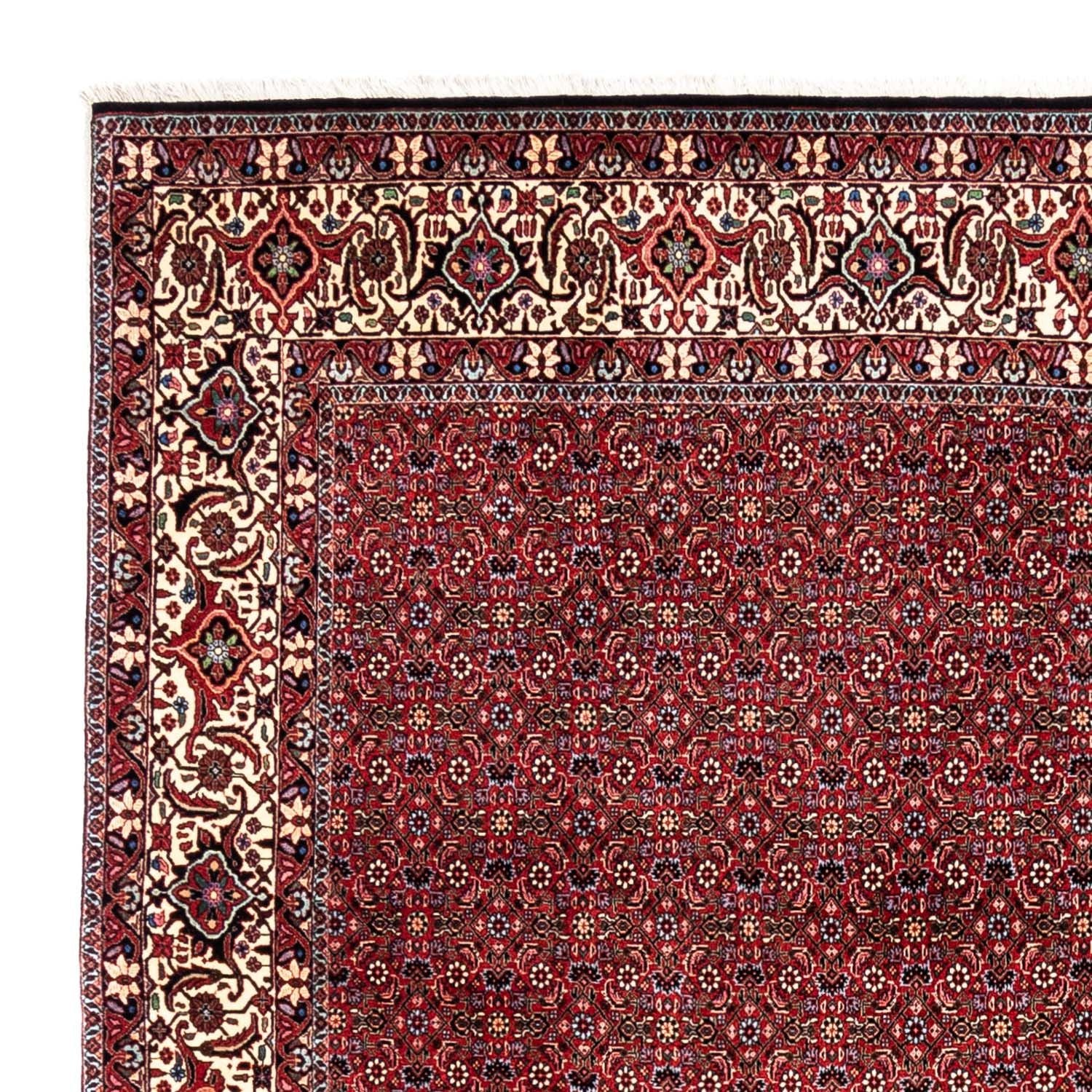 Perserteppich - Bidjar - Royal 331 x 254 cm - rot - Image 3