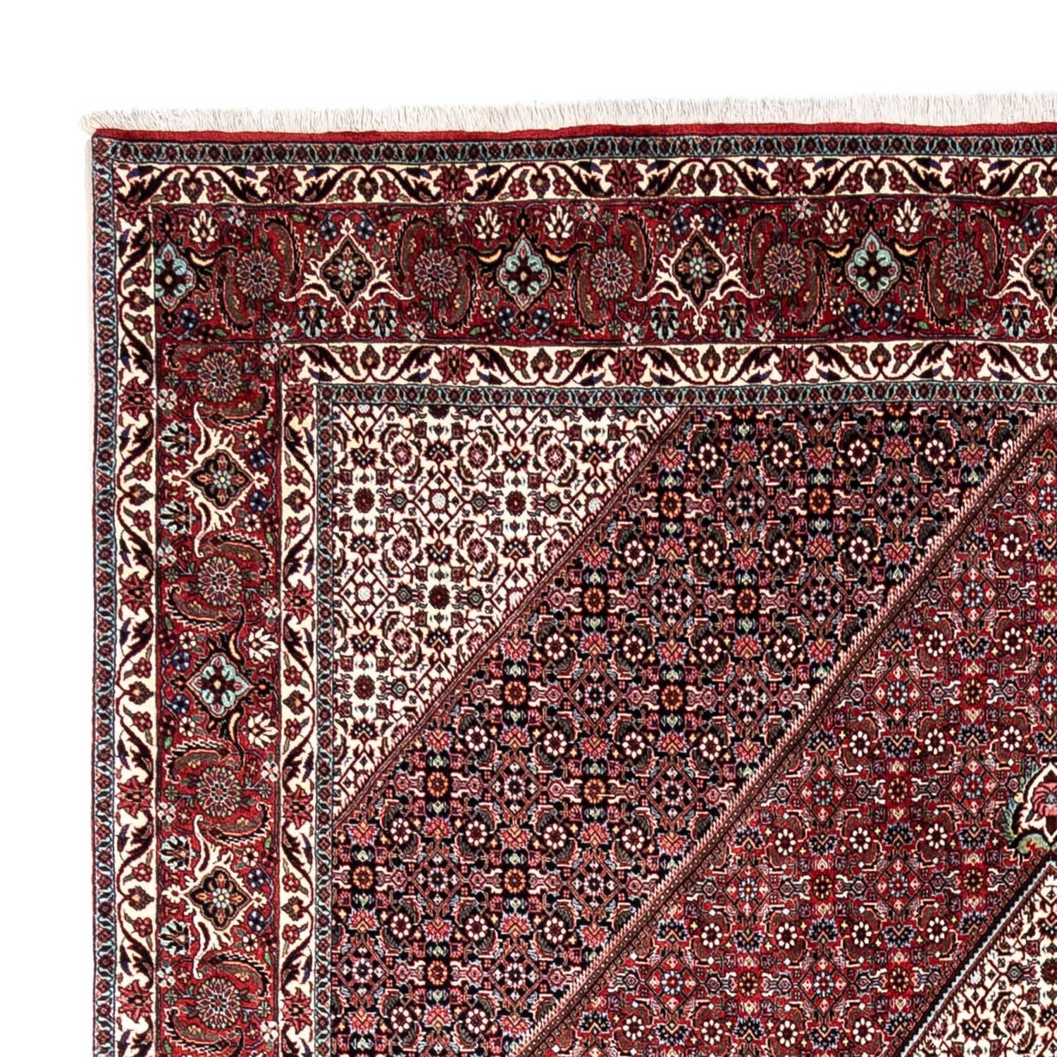Perserteppich - Bidjar - Royal 338 x 249 cm - rot - Image 3