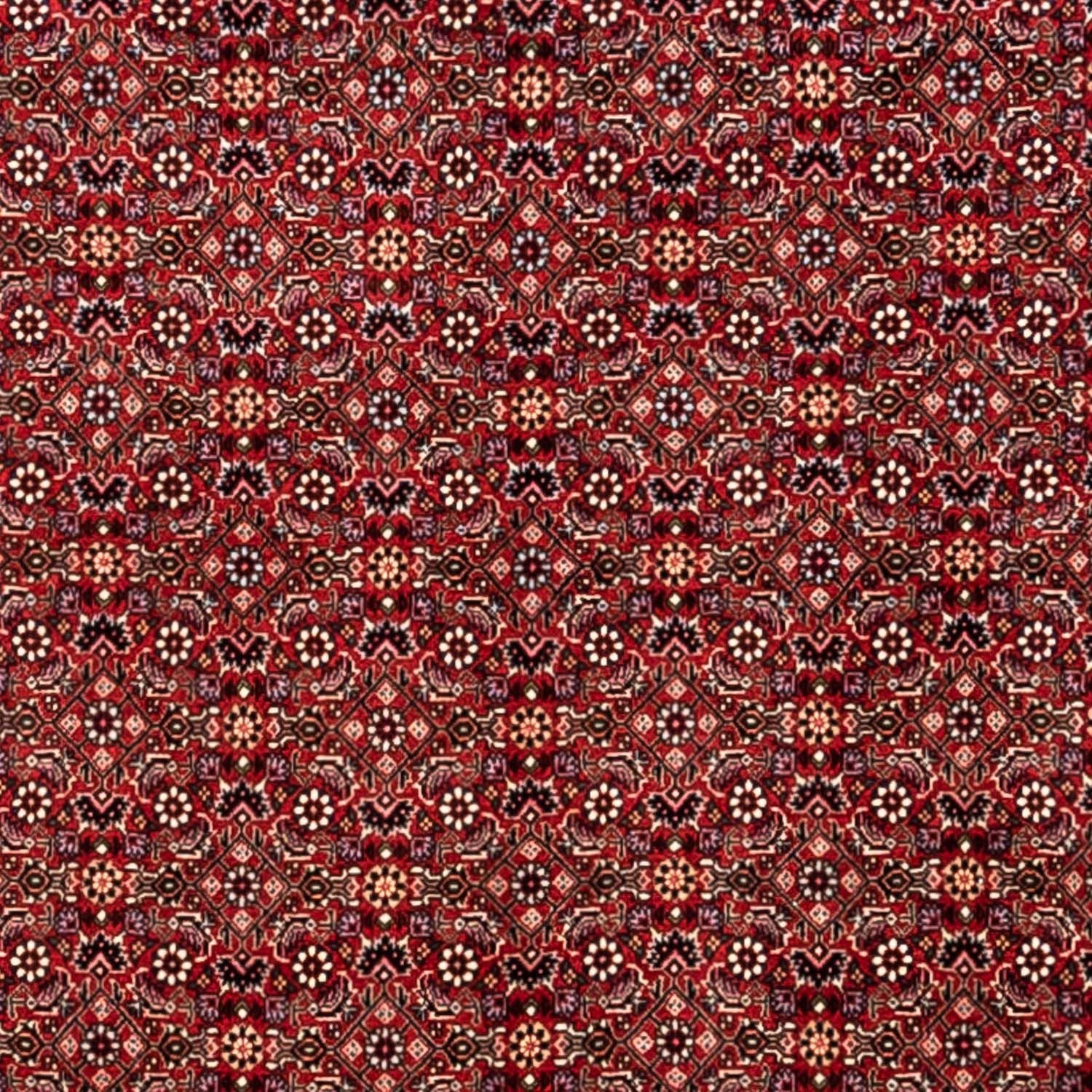 Perserteppich - Bidjar - Royal 340 x 248 cm - rot - Image 2