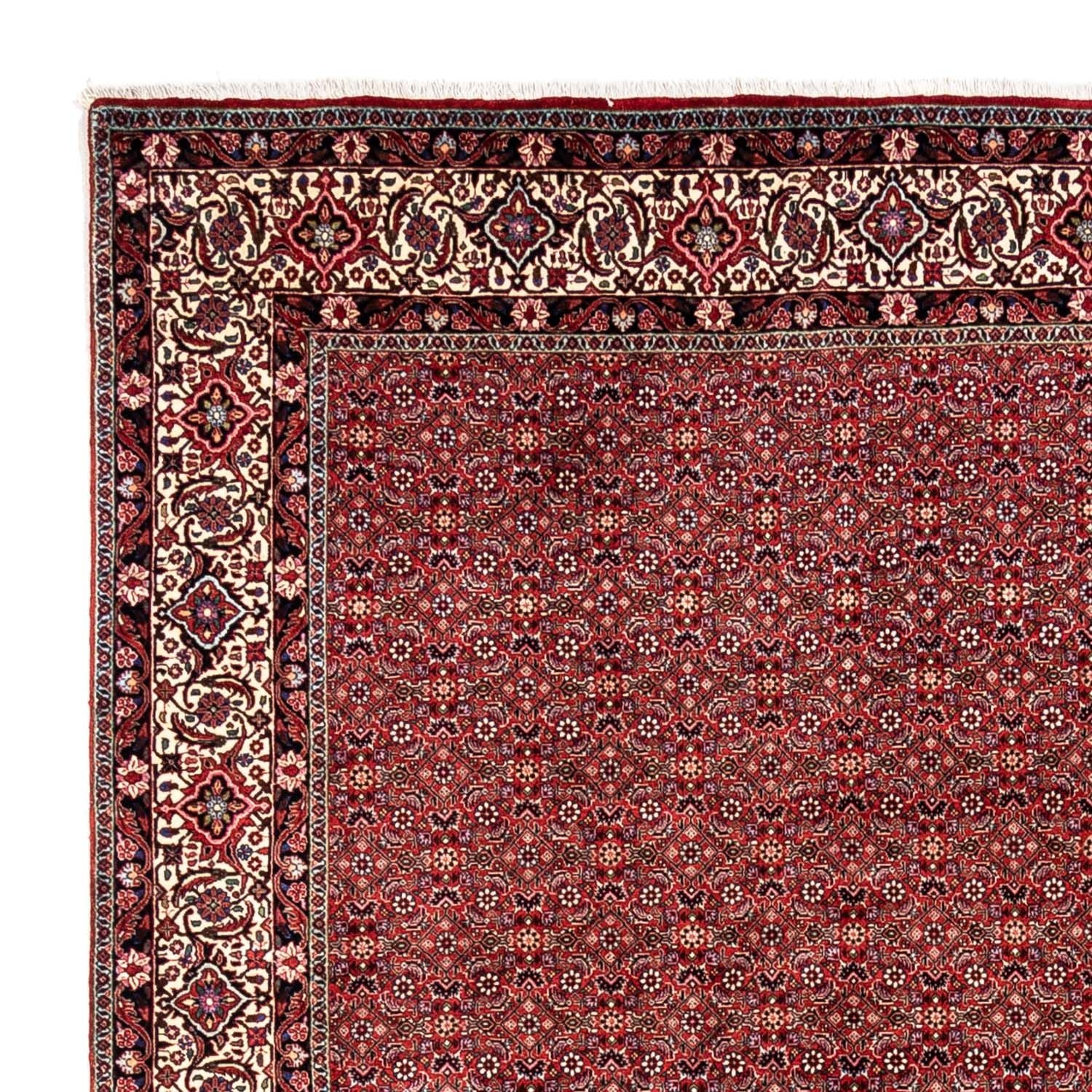 Perserteppich - Bidjar - Royal 340 x 248 cm - rot - Image 3