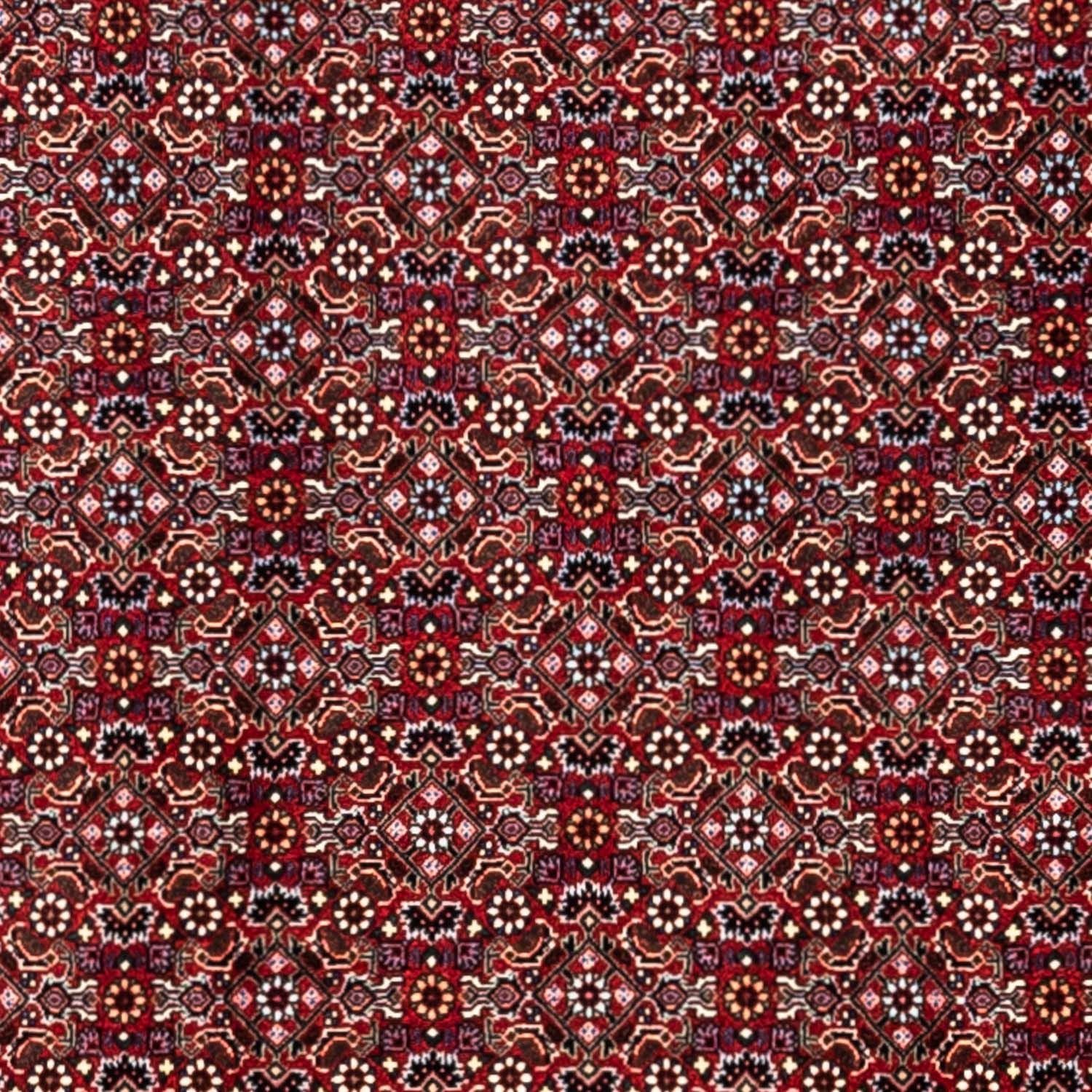 Perserteppich - Bidjar - Royal 340 x 252 cm - rot - Image 2