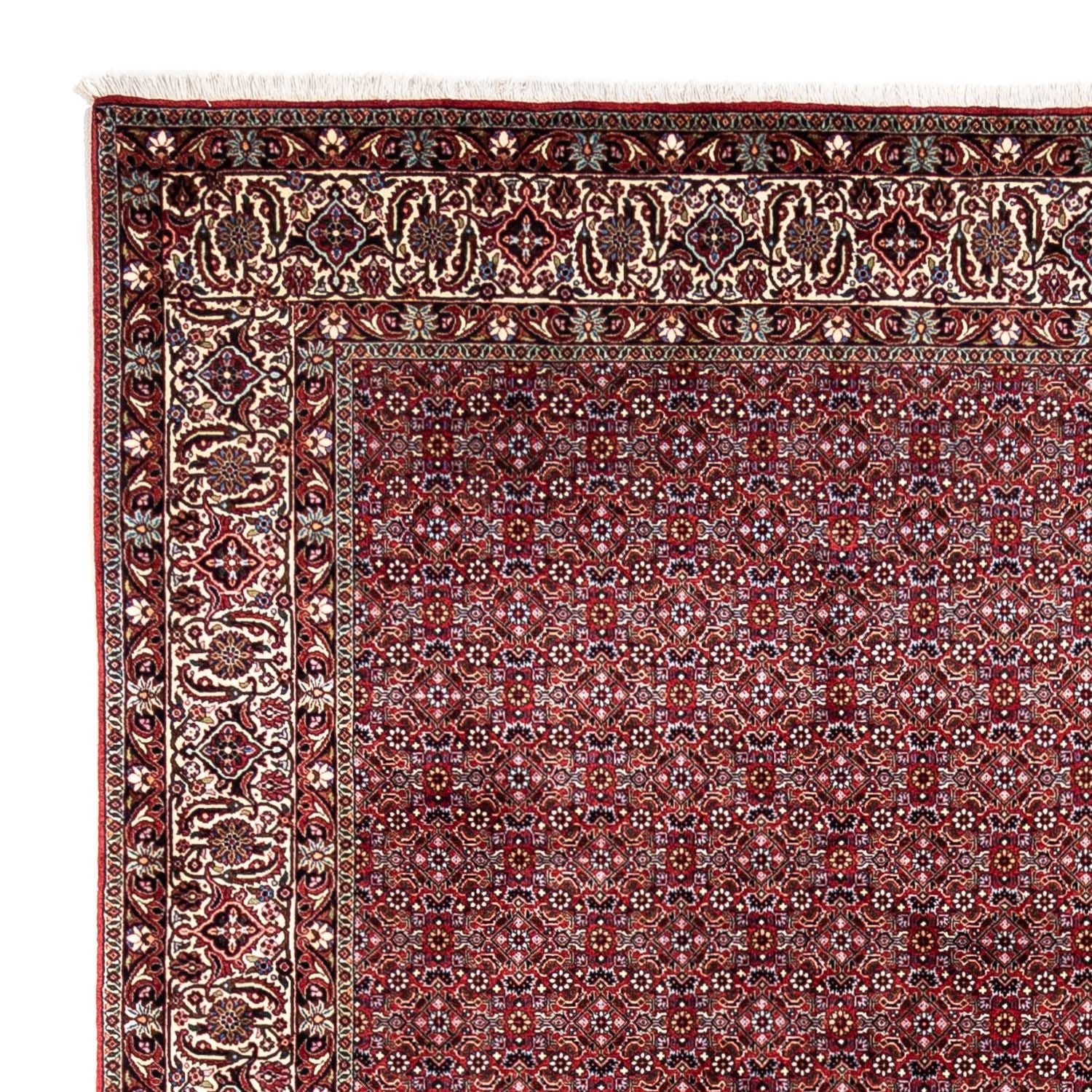 Perserteppich - Bidjar - Royal 340 x 252 cm - rot - Image 3