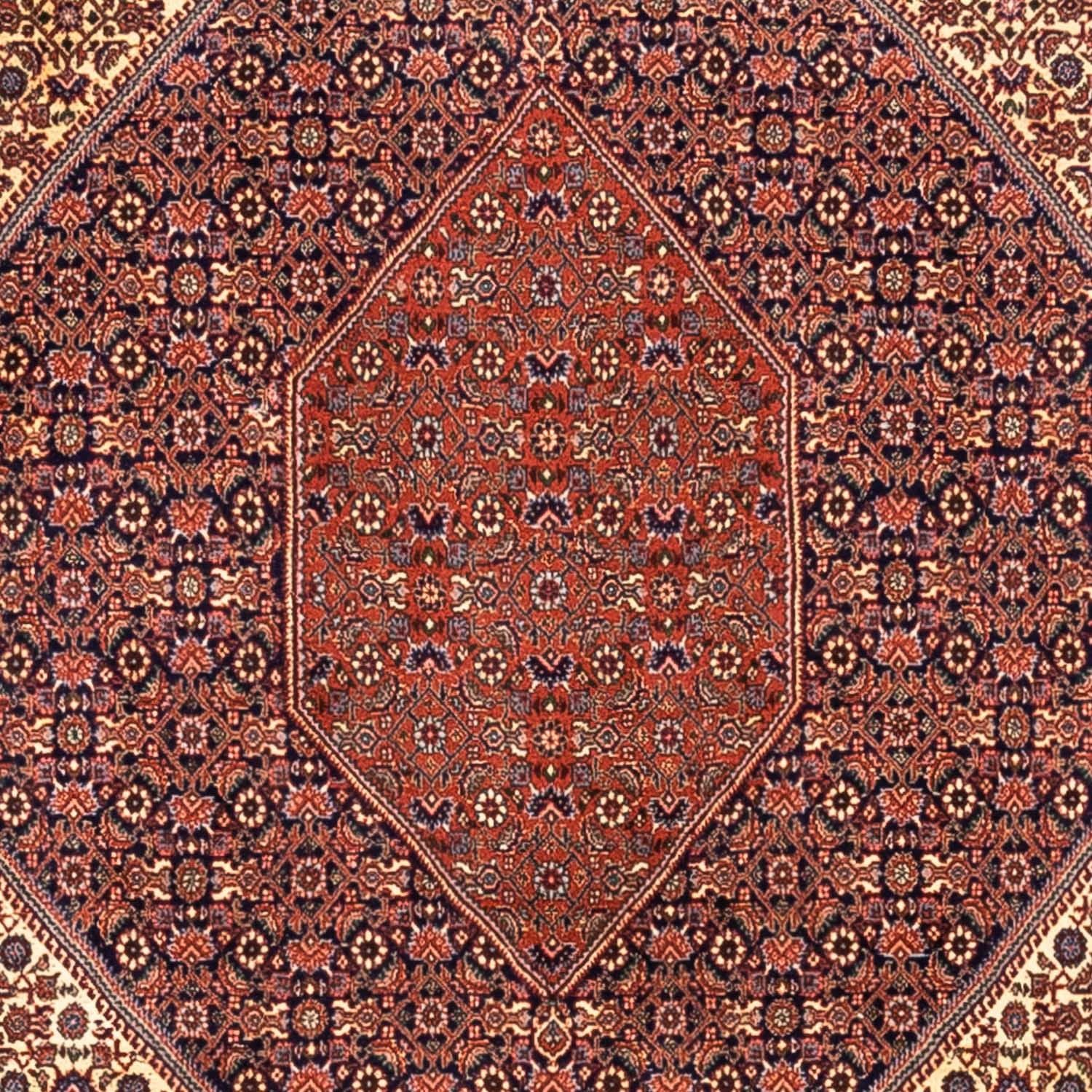 Perserteppich - Bidjar - Royal 340 x 254 cm - rot - Image 2