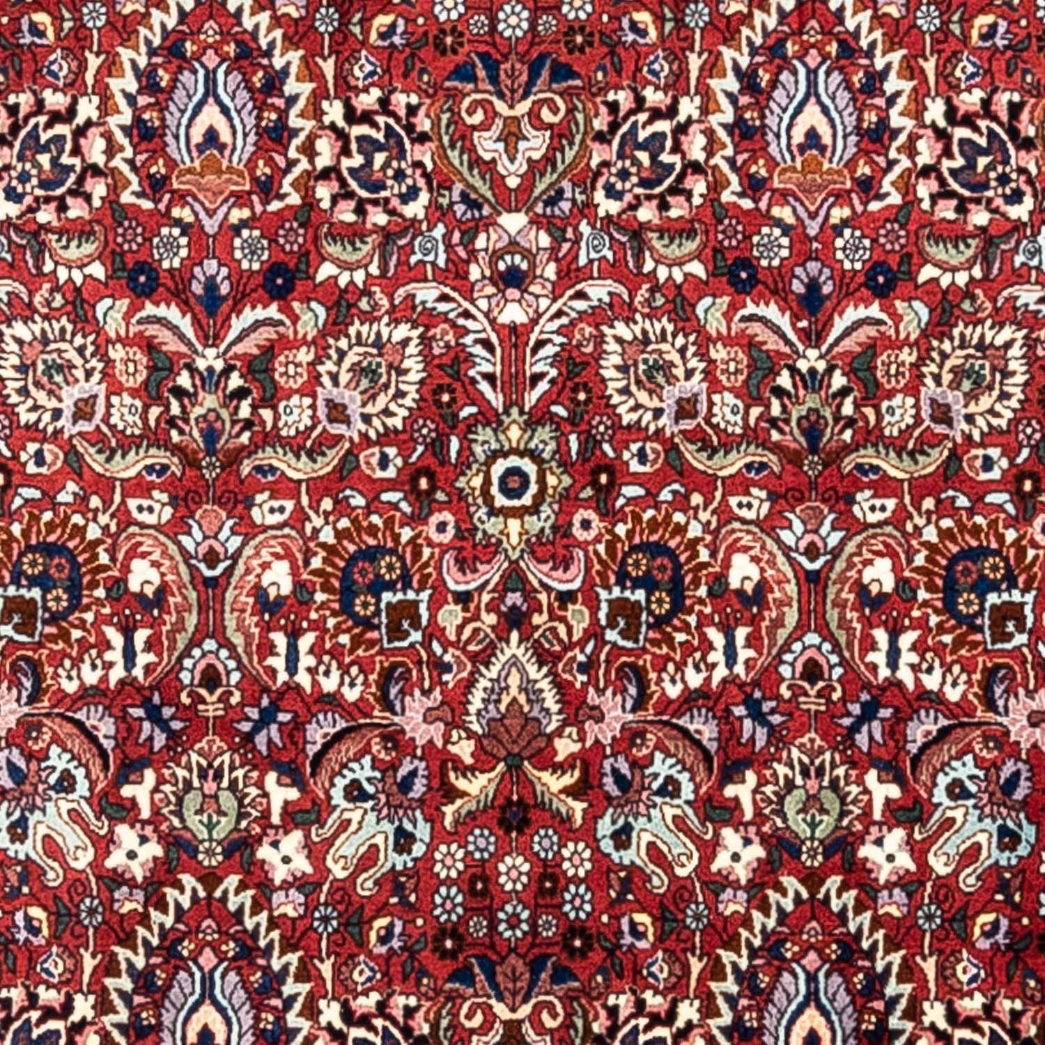Perserteppich - Bidjar - Royal 343 x 255 cm - rot - Image 2