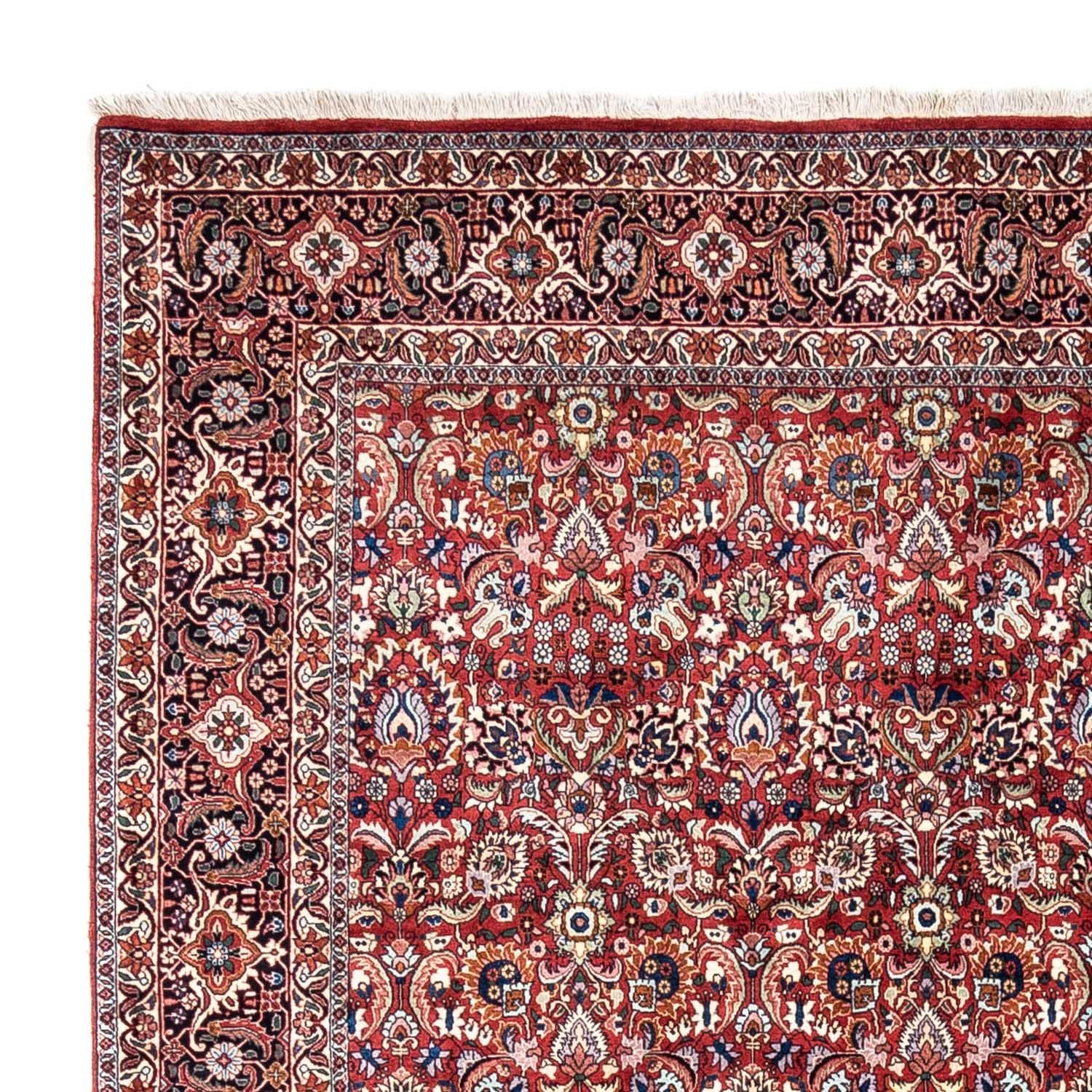 Perserteppich - Bidjar - Royal 343 x 255 cm - rot - Image 3