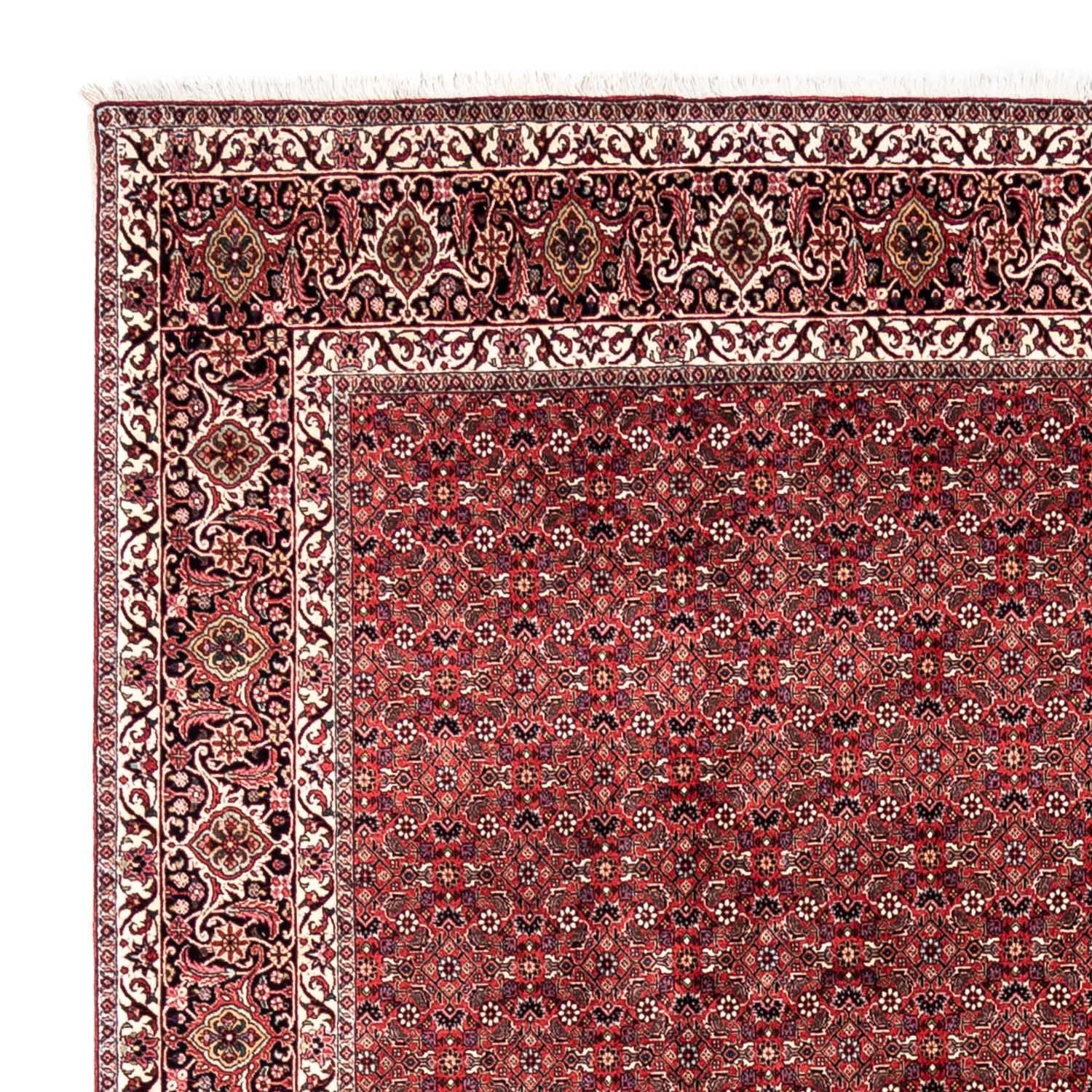 Perserteppich - Bidjar - Royal 345 x 253 cm - rot - Image 3