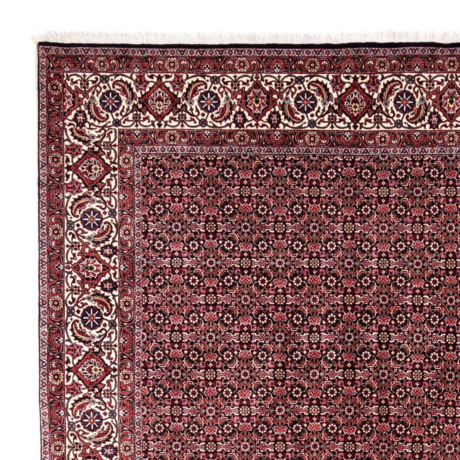 Perserteppich - Bidjar - Royal 346 x 250 cm - dunkelrot - Image 3