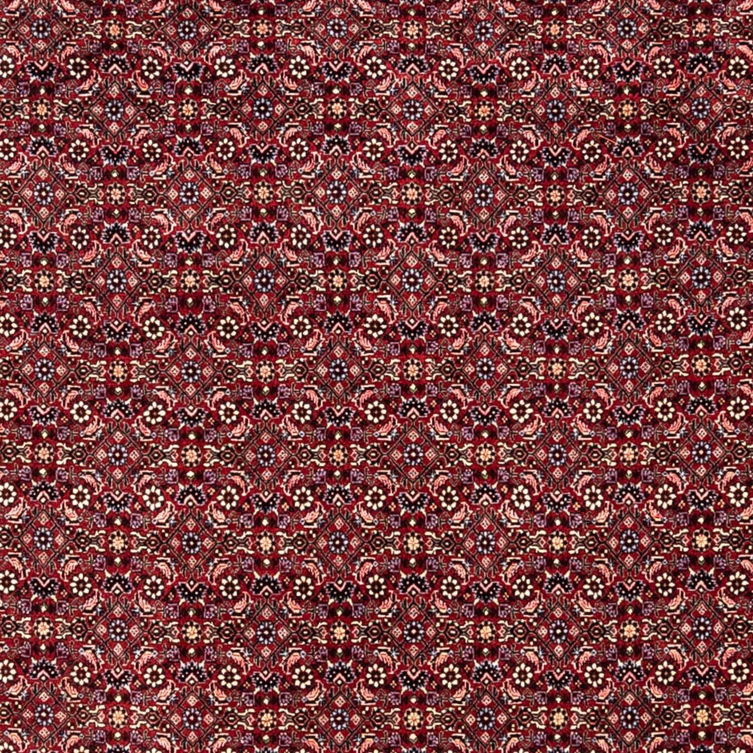 Perserteppich - Bidjar - Royal 349 x 250 cm - rot - Image 2