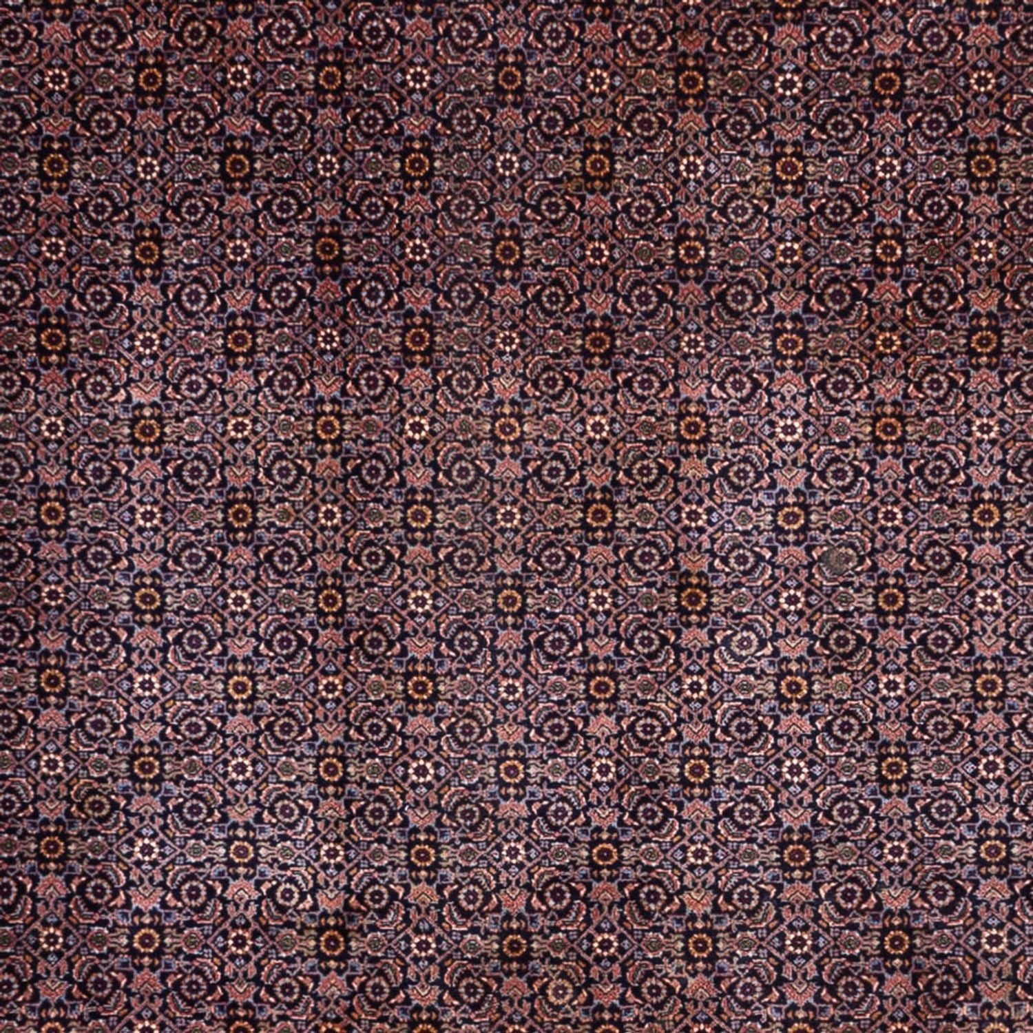 Bidjar - Takab Teppich 349x252cm - Perserteppich - Image 2