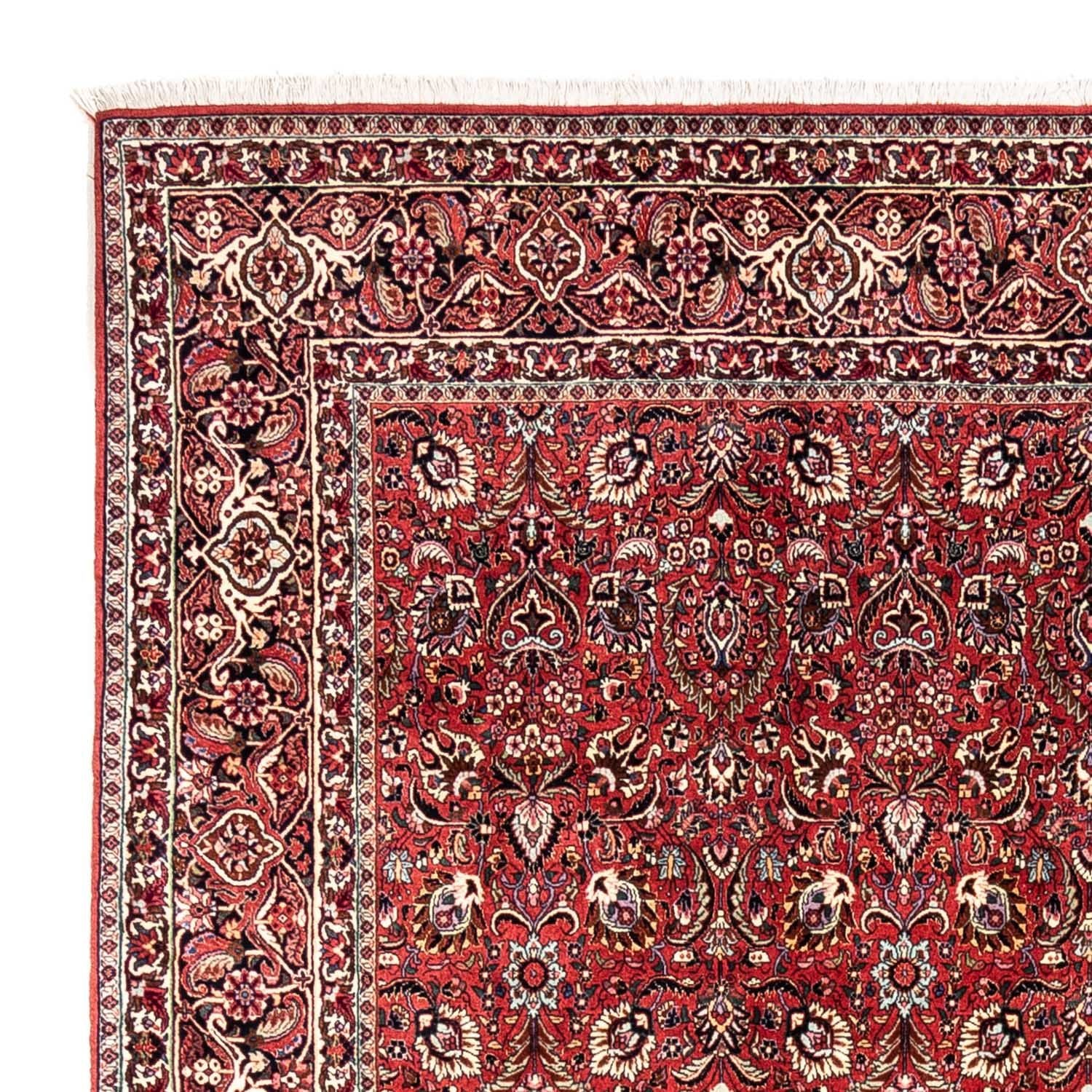 Perserteppich - Bidjar - Royal 349 x 252 cm - rot - Image 3