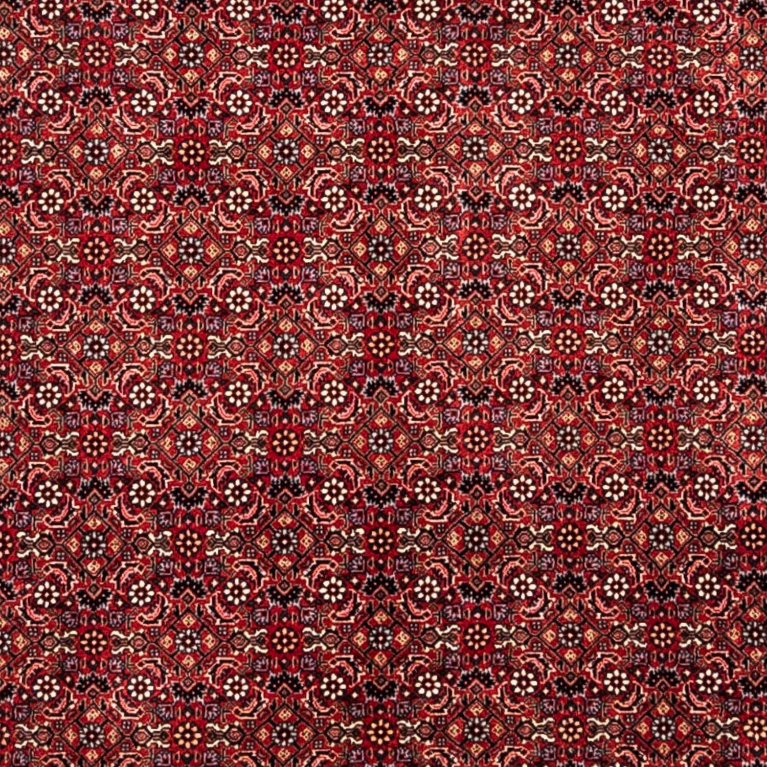 Perserteppich - Bidjar - Royal 350 x 252 cm - rot - Image 2