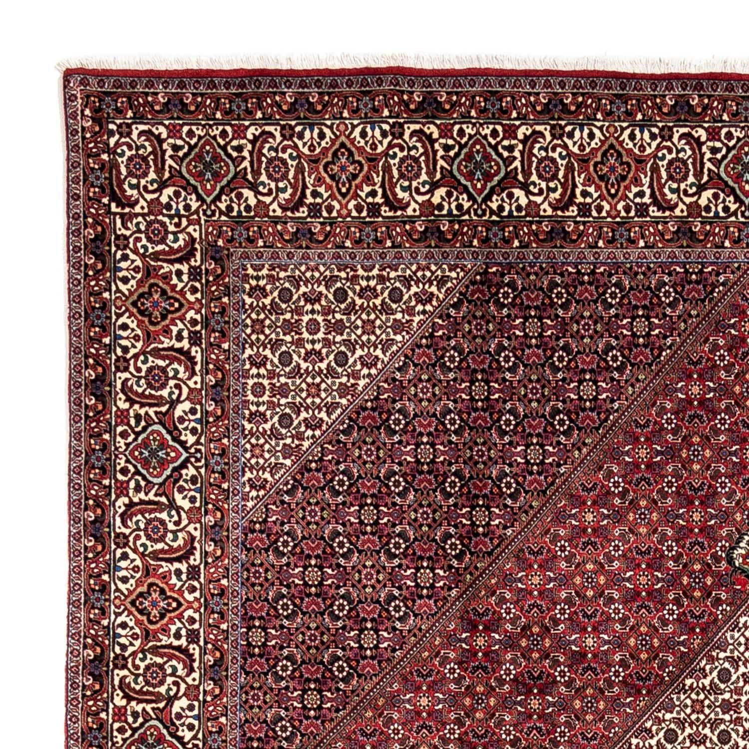 Perserteppich - Bidjar - Royal 360 x 251 cm - rot - Image 3