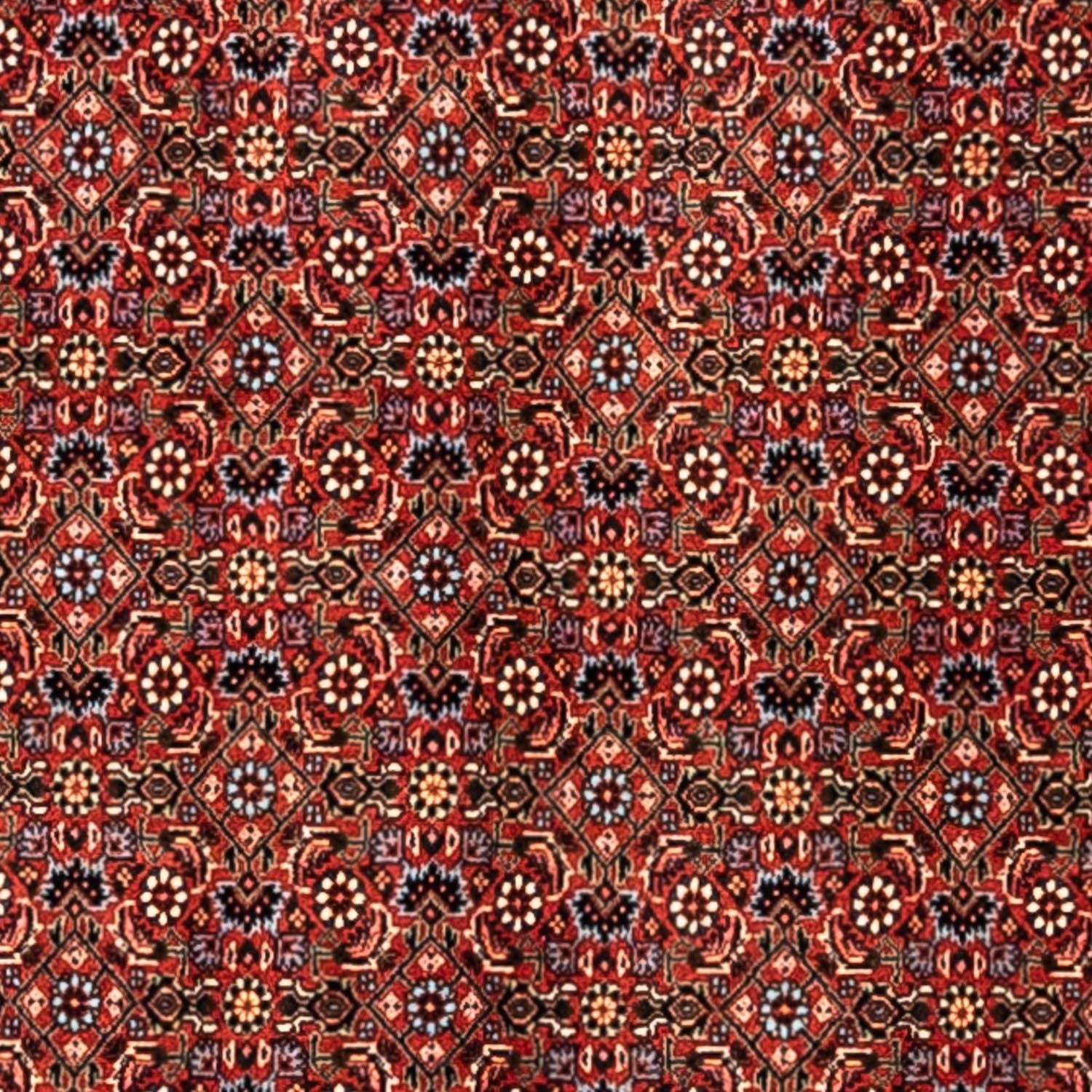 Perserteppich - Bidjar - Royal 363 x 248 cm - rot - Image 2