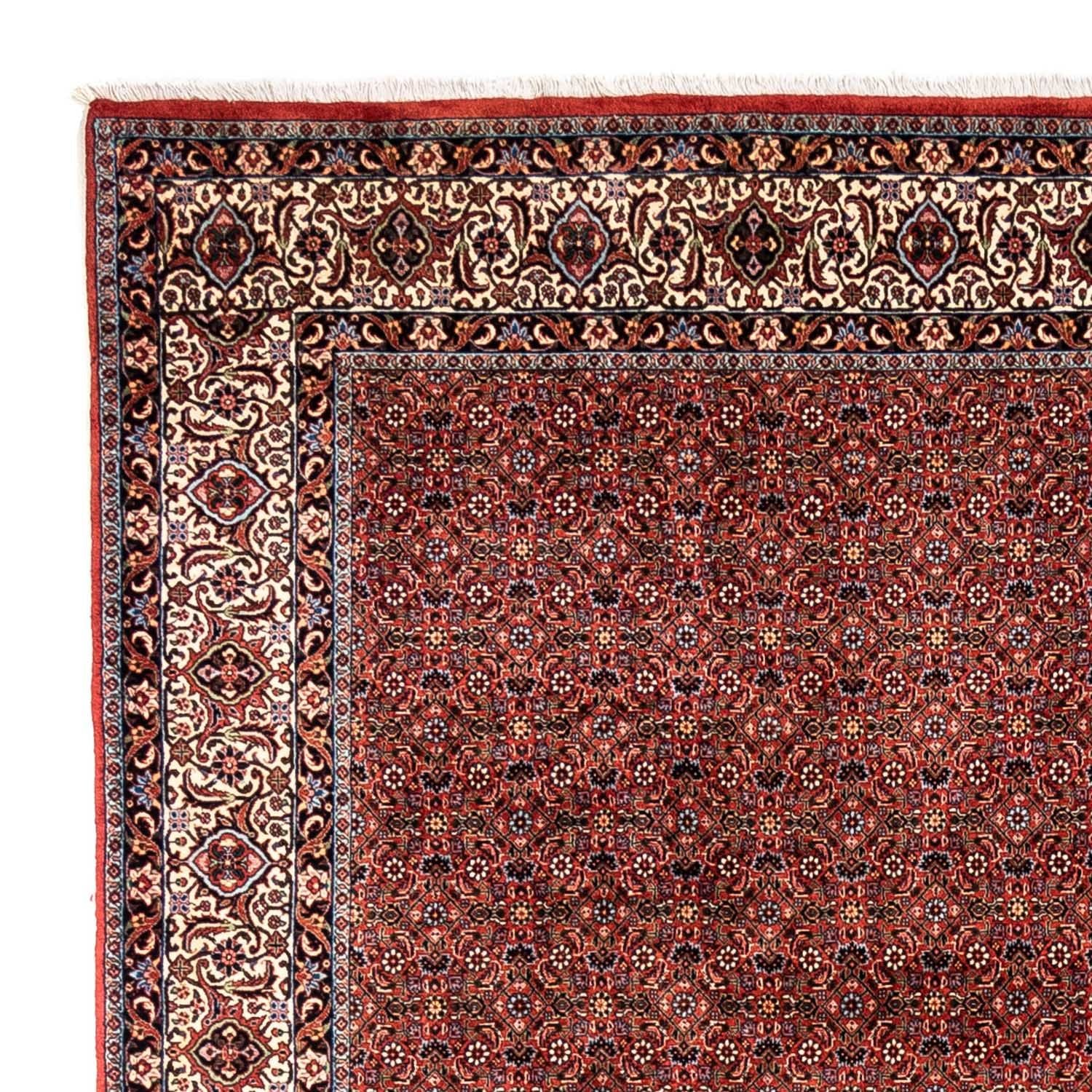 Perserteppich - Bidjar - Royal 363 x 248 cm - rot - Image 3