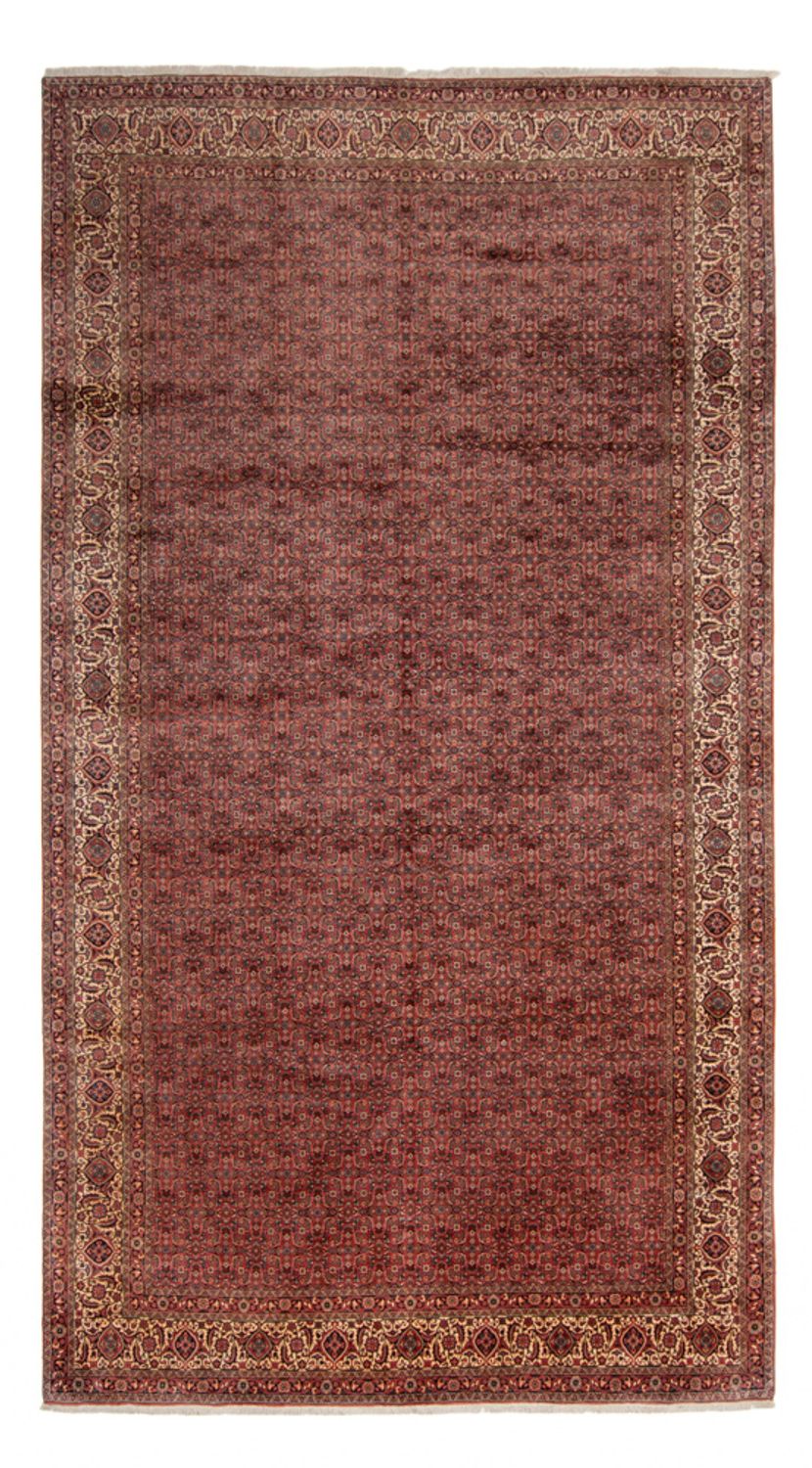 Bidjar - Takab Teppich 482x256cm - Perserteppich
