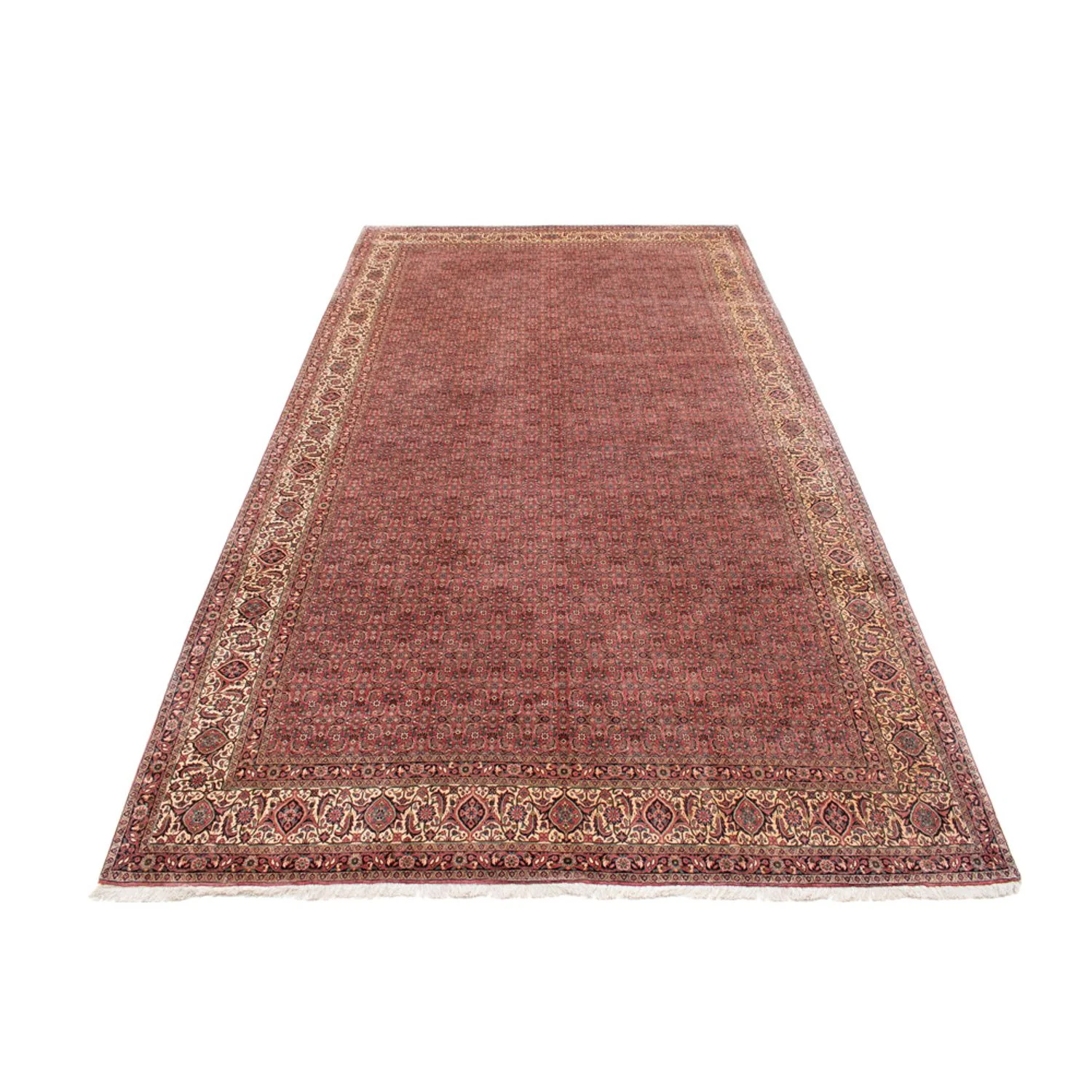 Bidjar - Takab Teppich 482x256cm - Perserteppich - Image 5