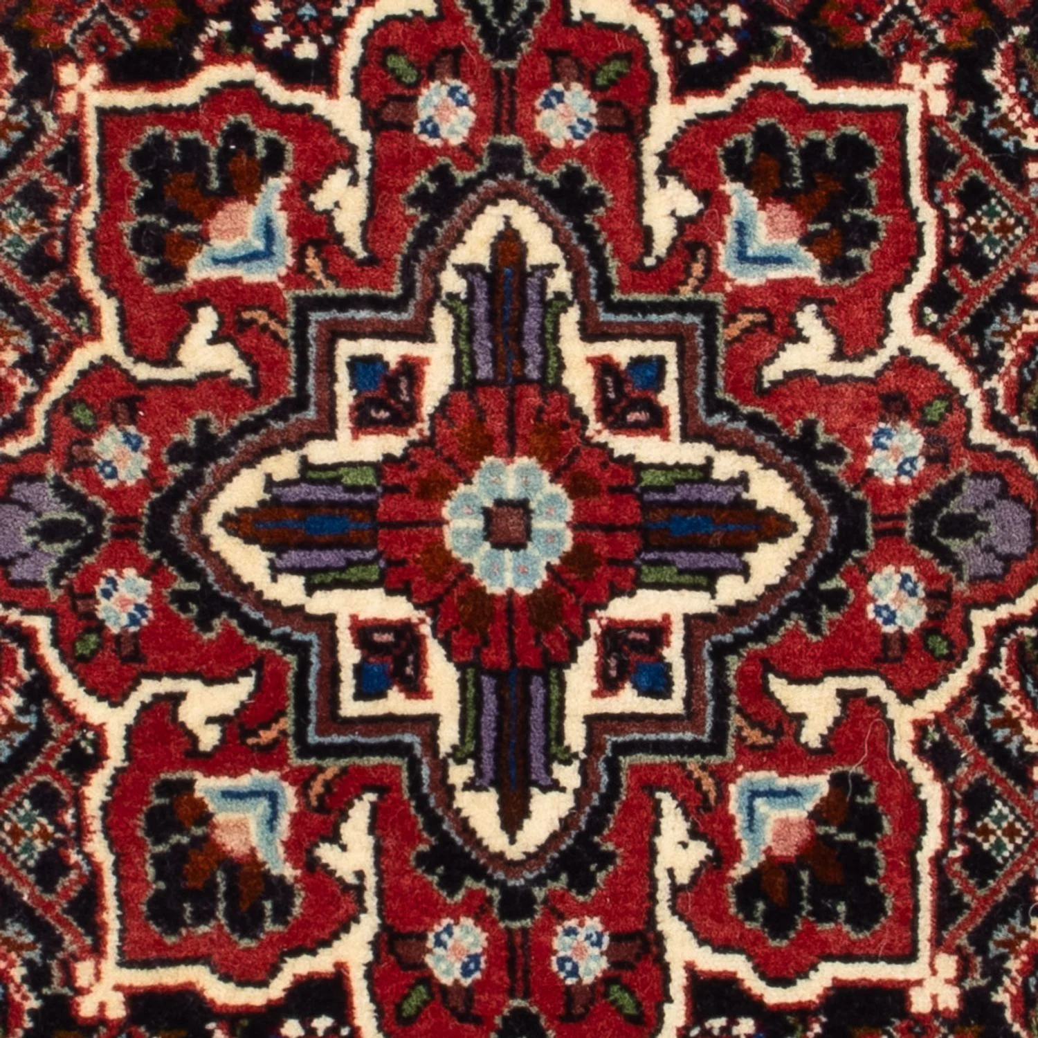 Bidjar - Takab Teppich 70x50cm - Perserteppich - Image 2